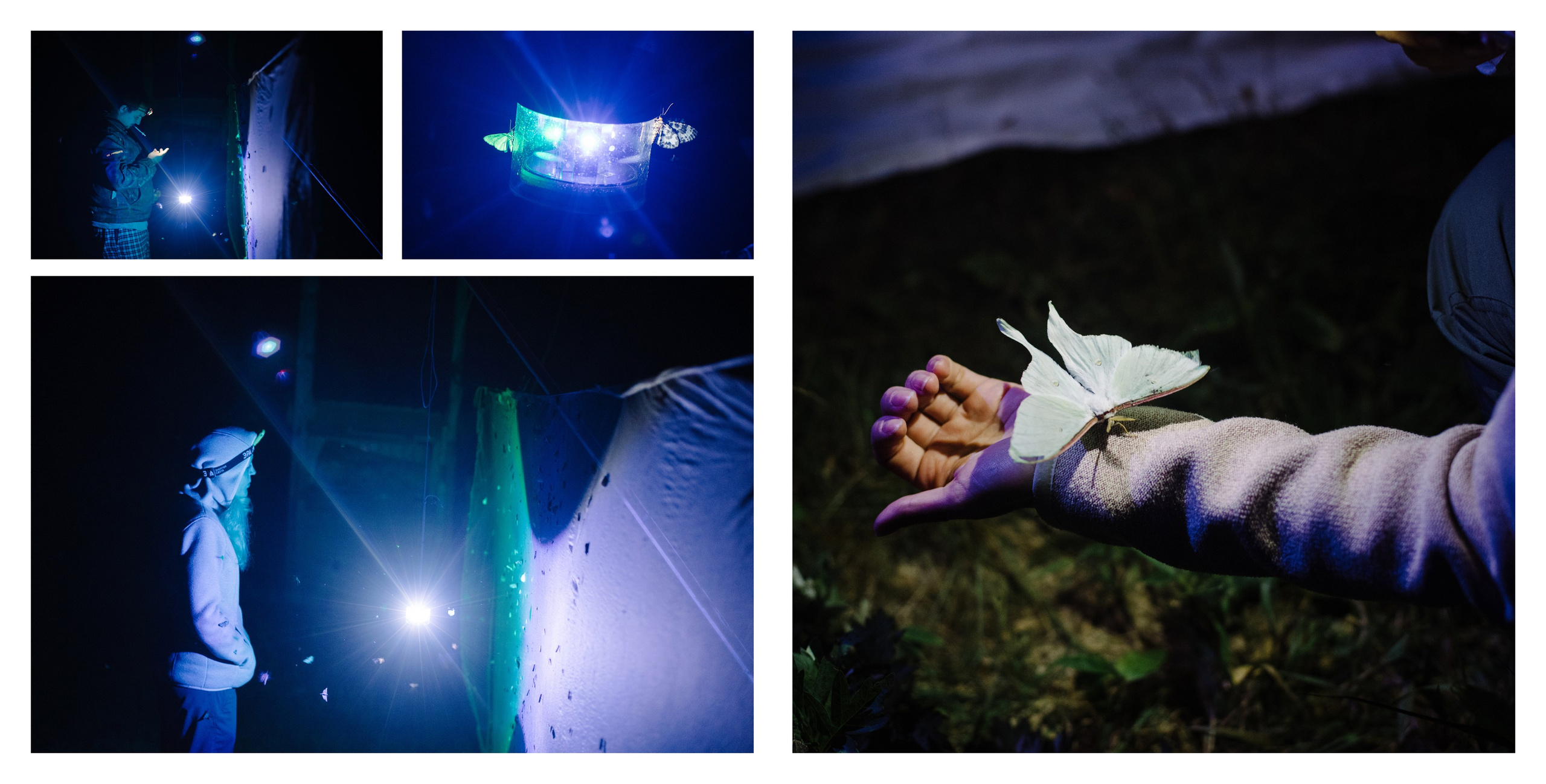 Сахалин и Курильские острова. Фотограф Алиса Калинина