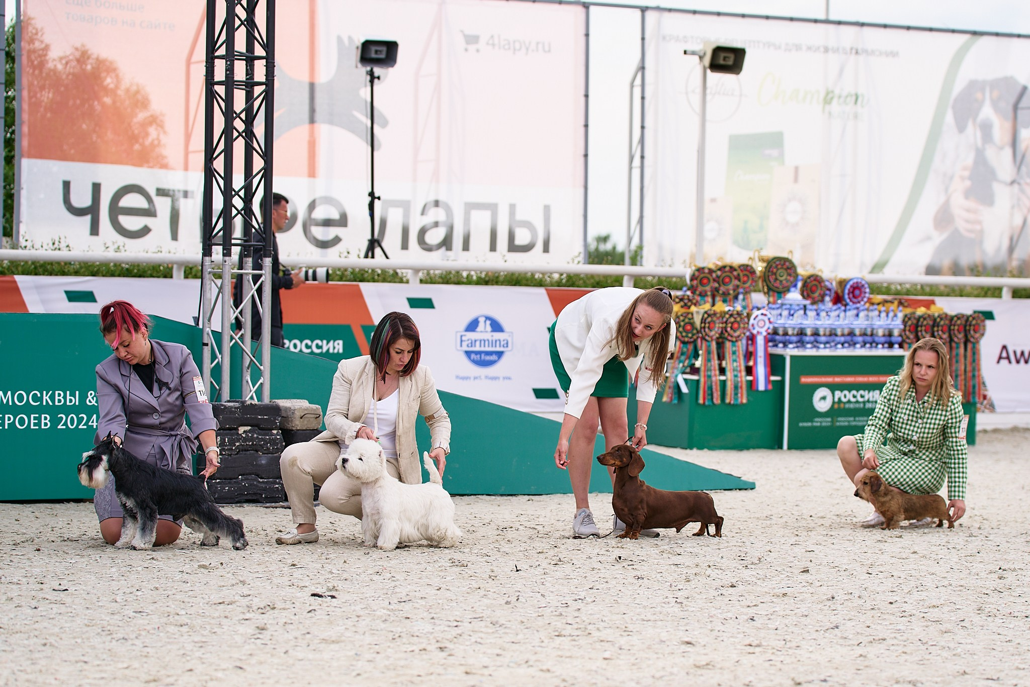 09.06.2024, «РОССИЯ. КУБОК МОСКВЫ 2024 & КУБОК ГОРОДОВ-ГЕРОЕВ»