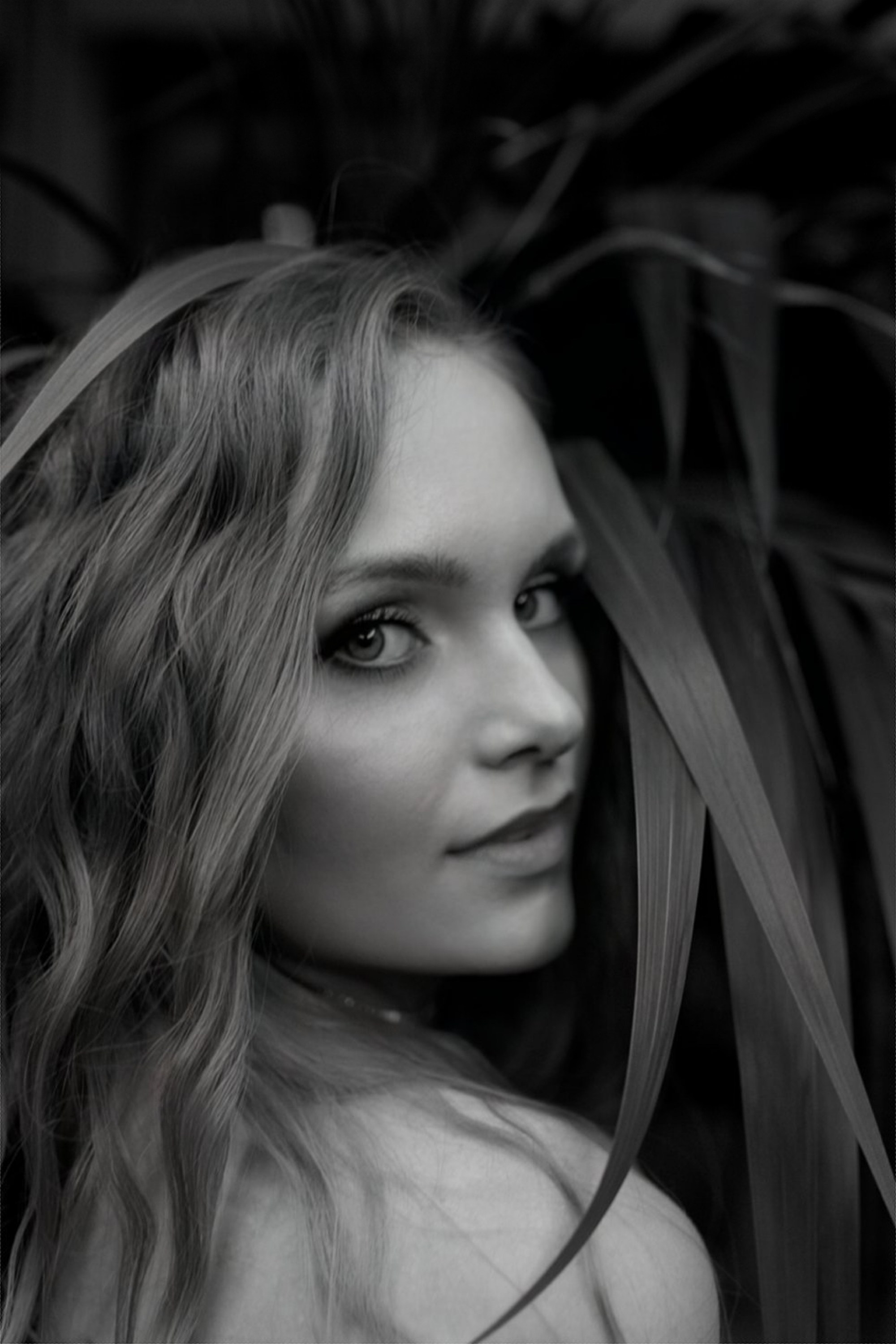 Veraxen CITY. Свадебный фотограф Каледич Тимофей