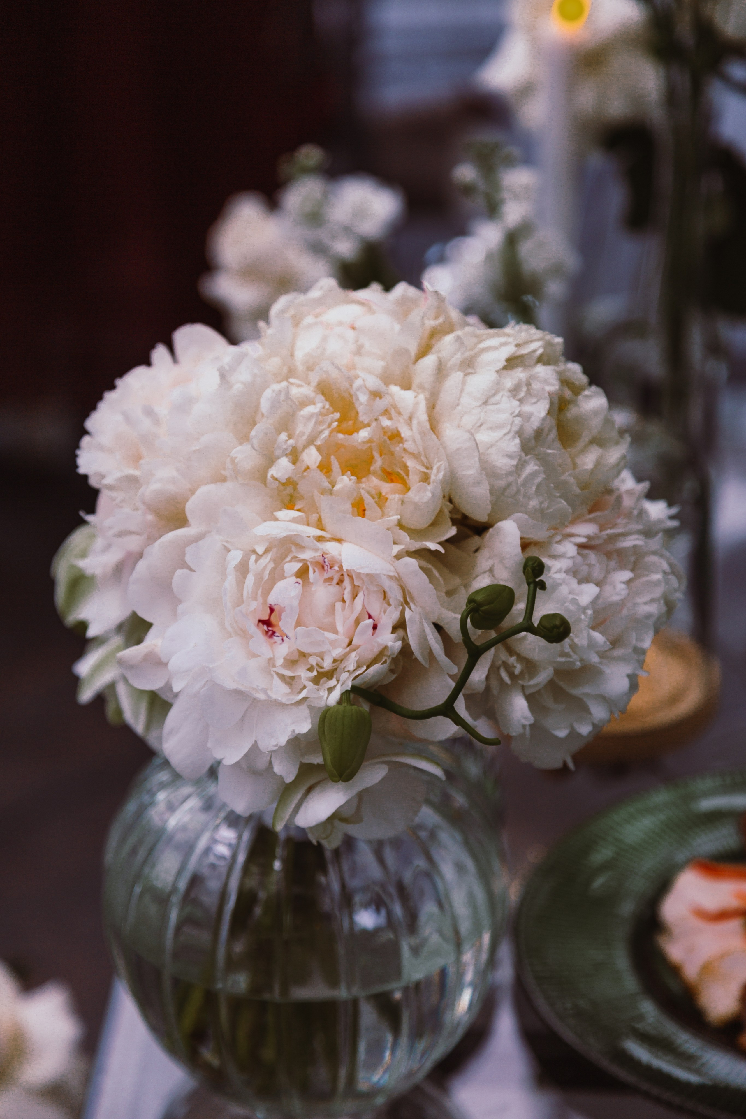 OLKA & YEVGENIY. Mixturecaptures