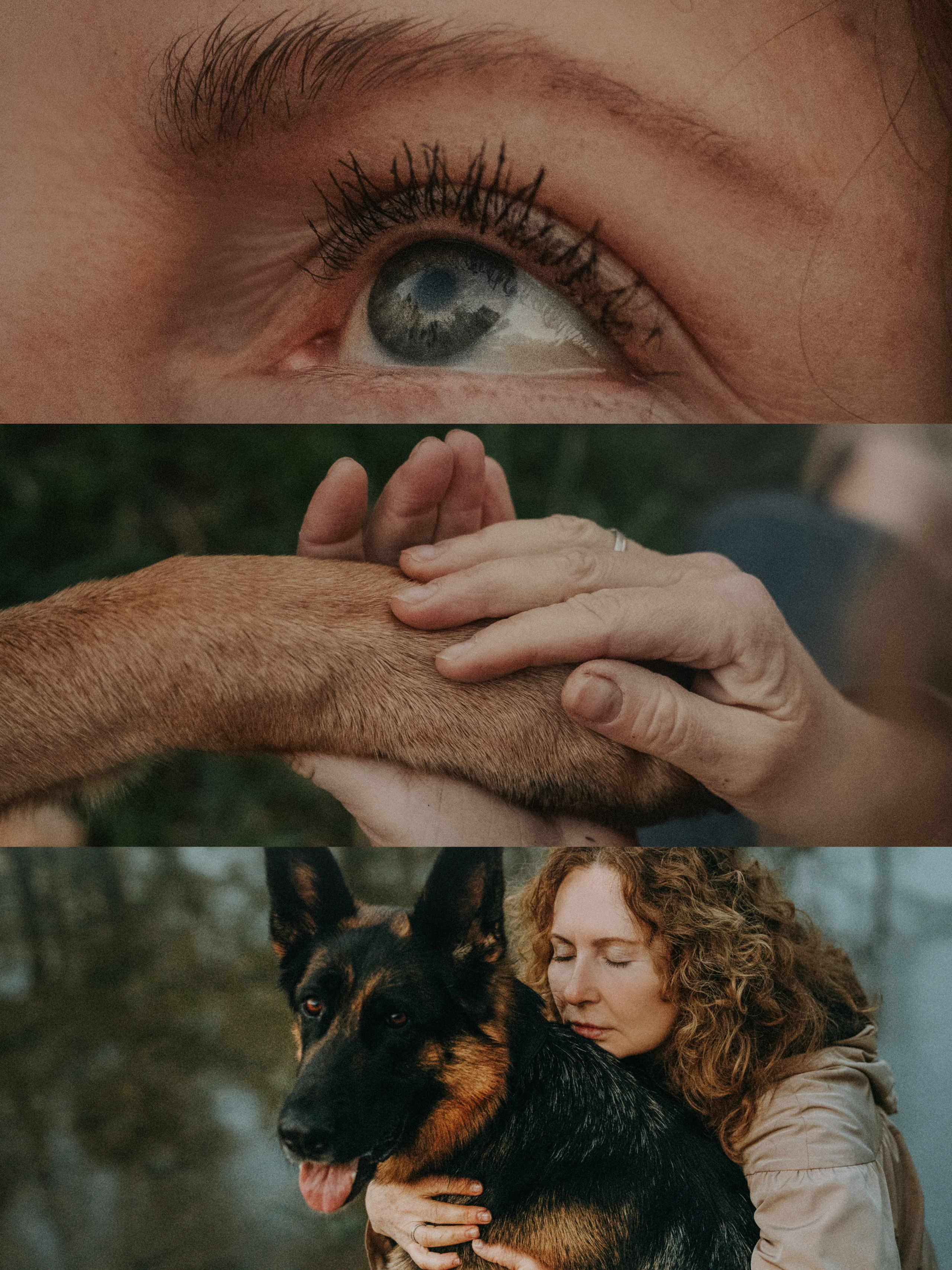 Людмила и Марта. Фотограф анималист в Москве и Санкт-Петербурге Свиридова Анна