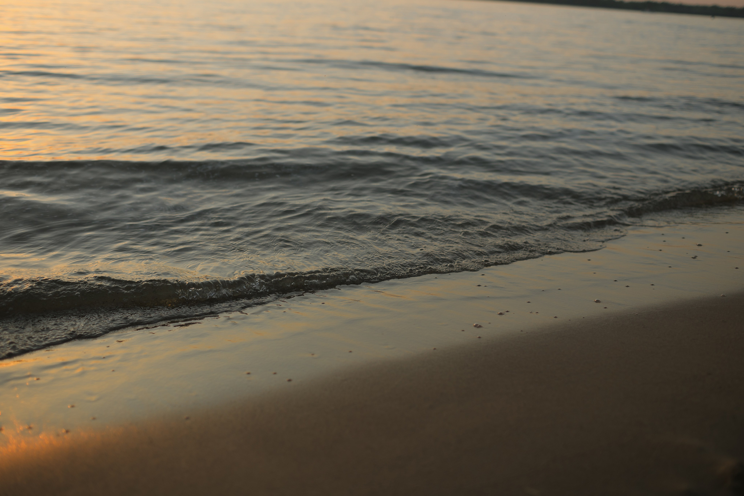 Илья и Полина. Свадебный и семейный фотограф в Самаре Посконнова Анна