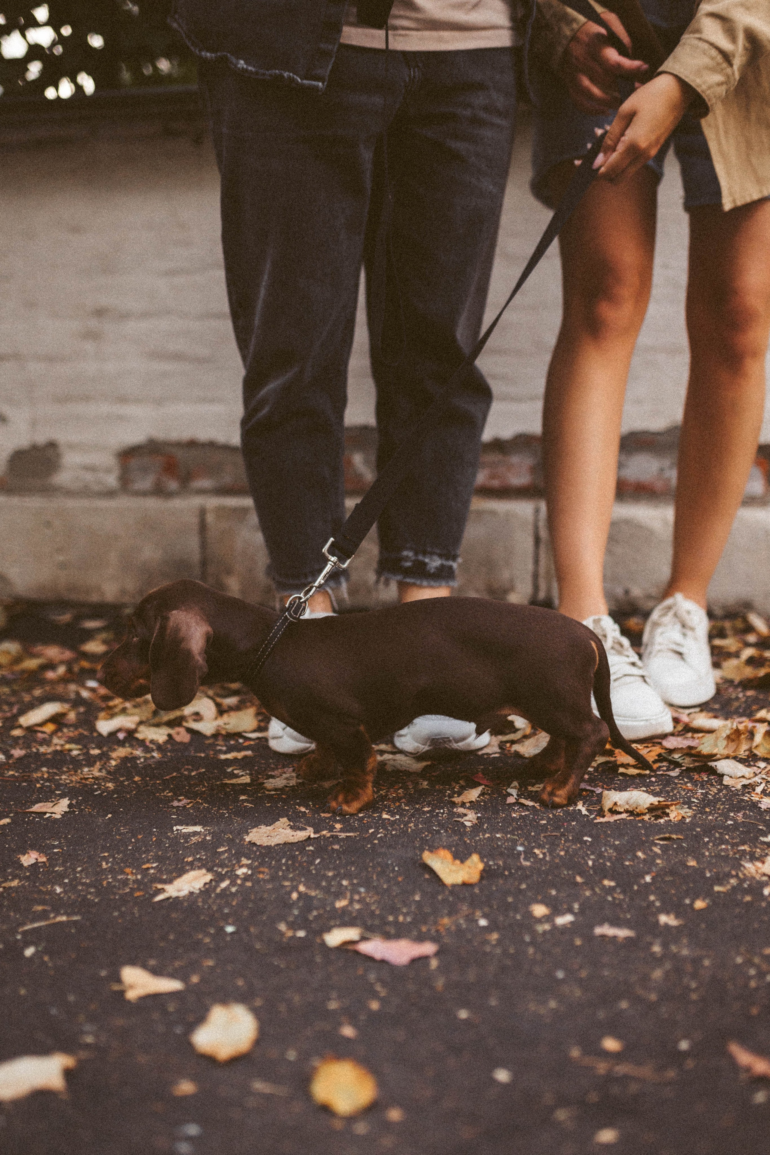 Руслан/Вика/Велес. Фотограф в Москве Татьяна Сергеева