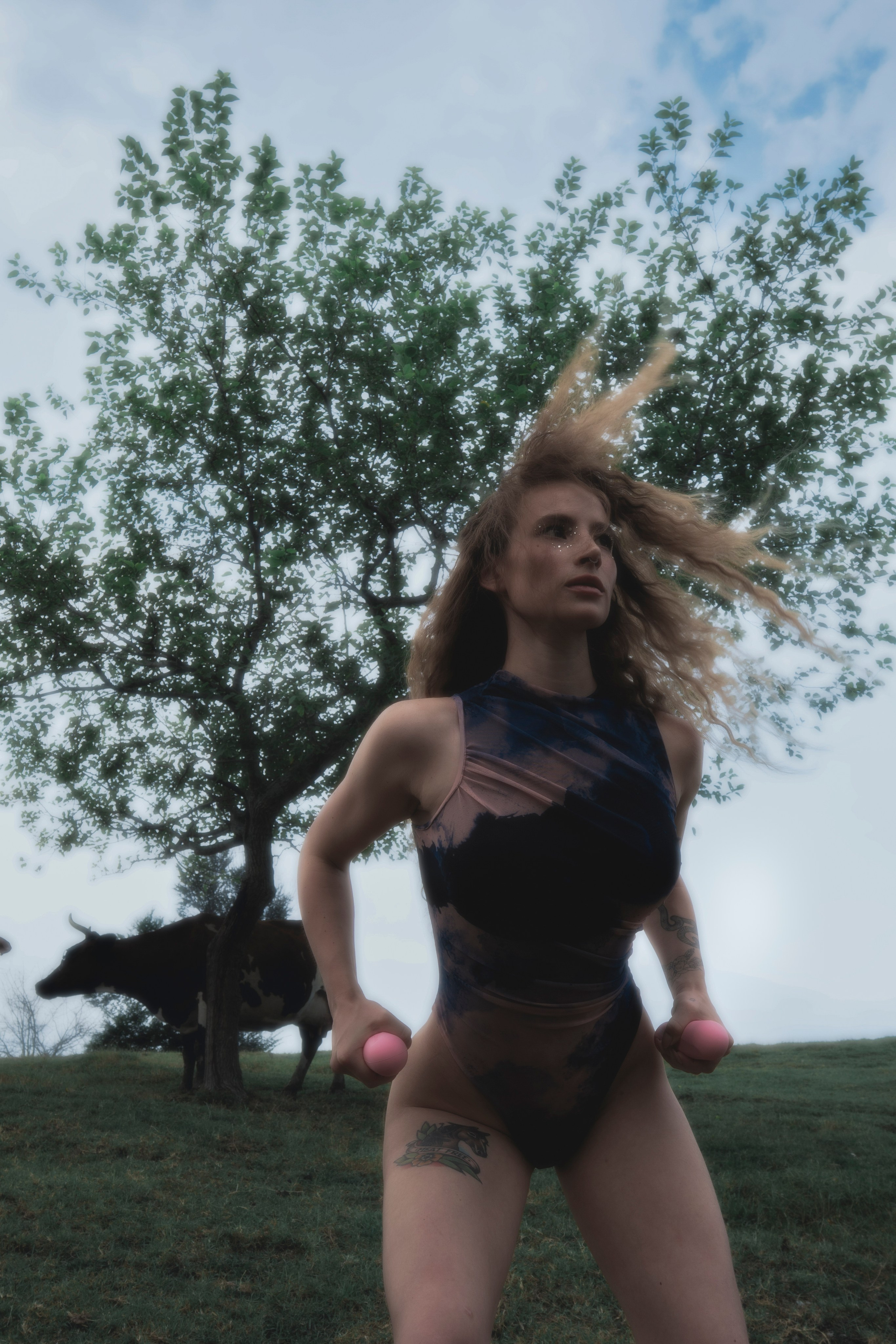 STRANGE FARM. Jorredi