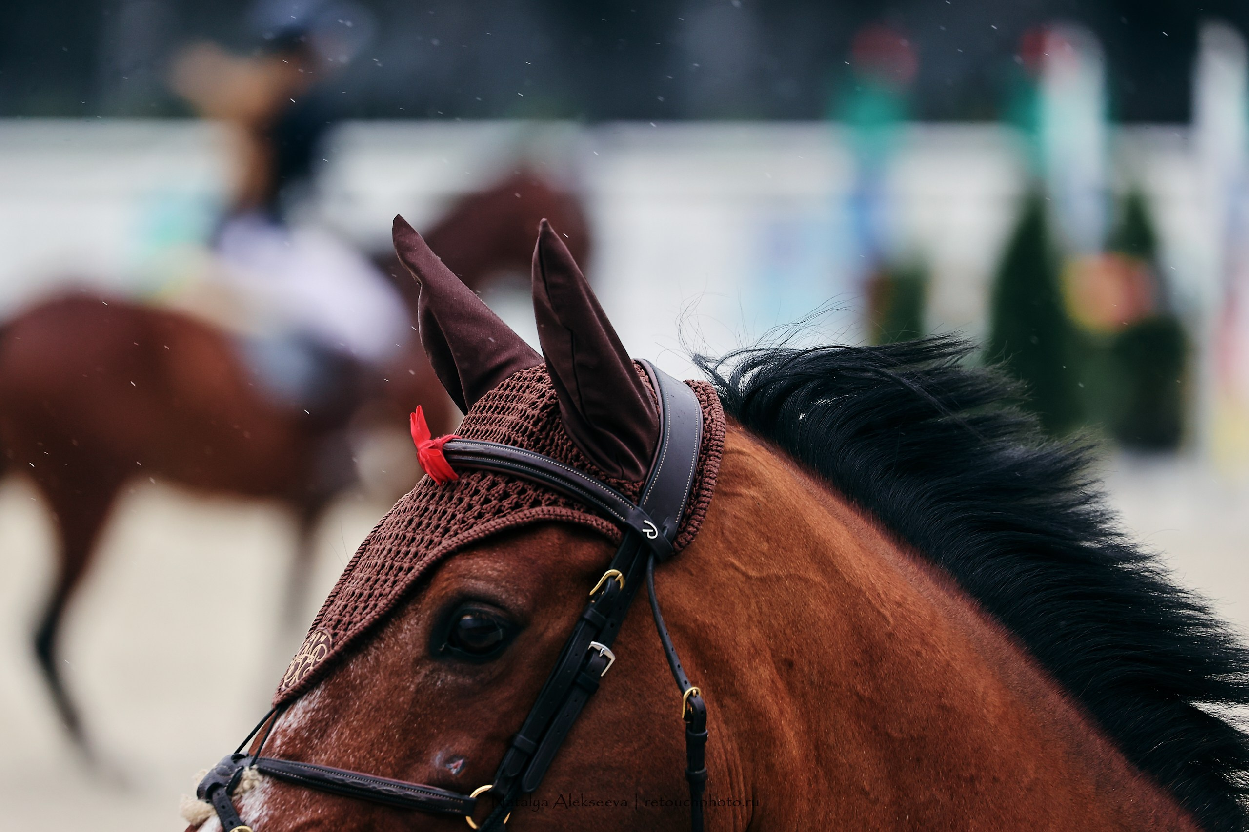 Maxima Masters Eurasia Team Competition по конкуру, Maxima Stables | 06'2023. Репортажный фотограф и ретушер в Москве Наталья Алексеева