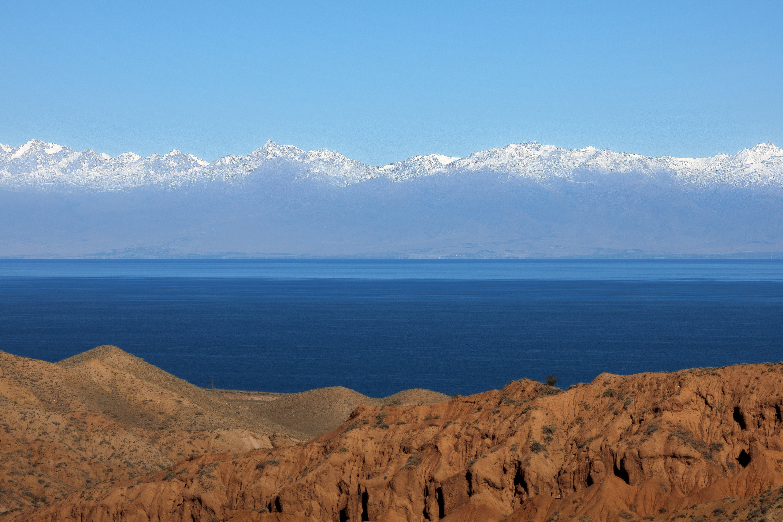 Репортаж. Портретный фотограф Москва | Елена Столиванова