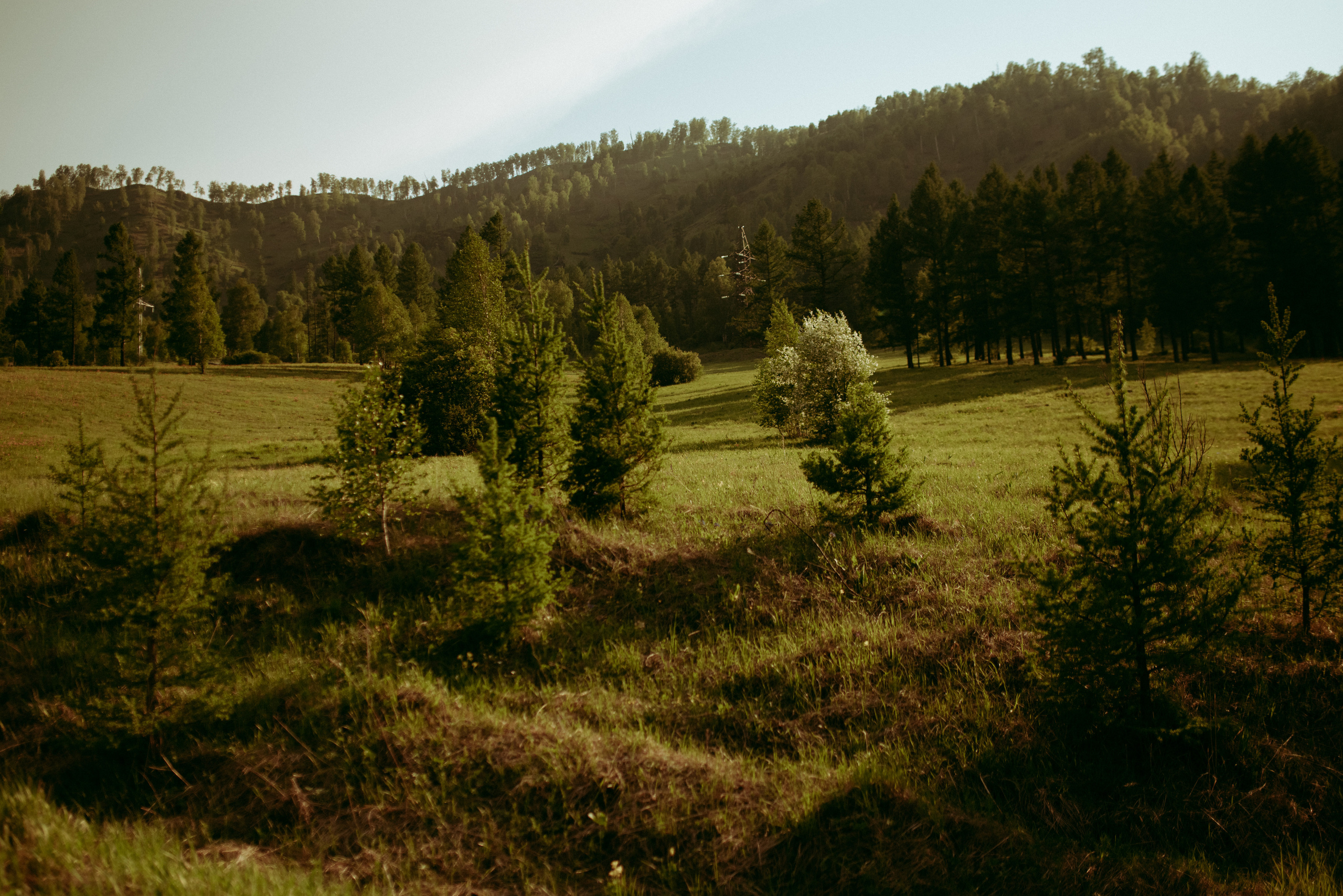 Горный Алтай. Юля, Рома и Варя. Семейный и детский фотограф Анастасия Иванова