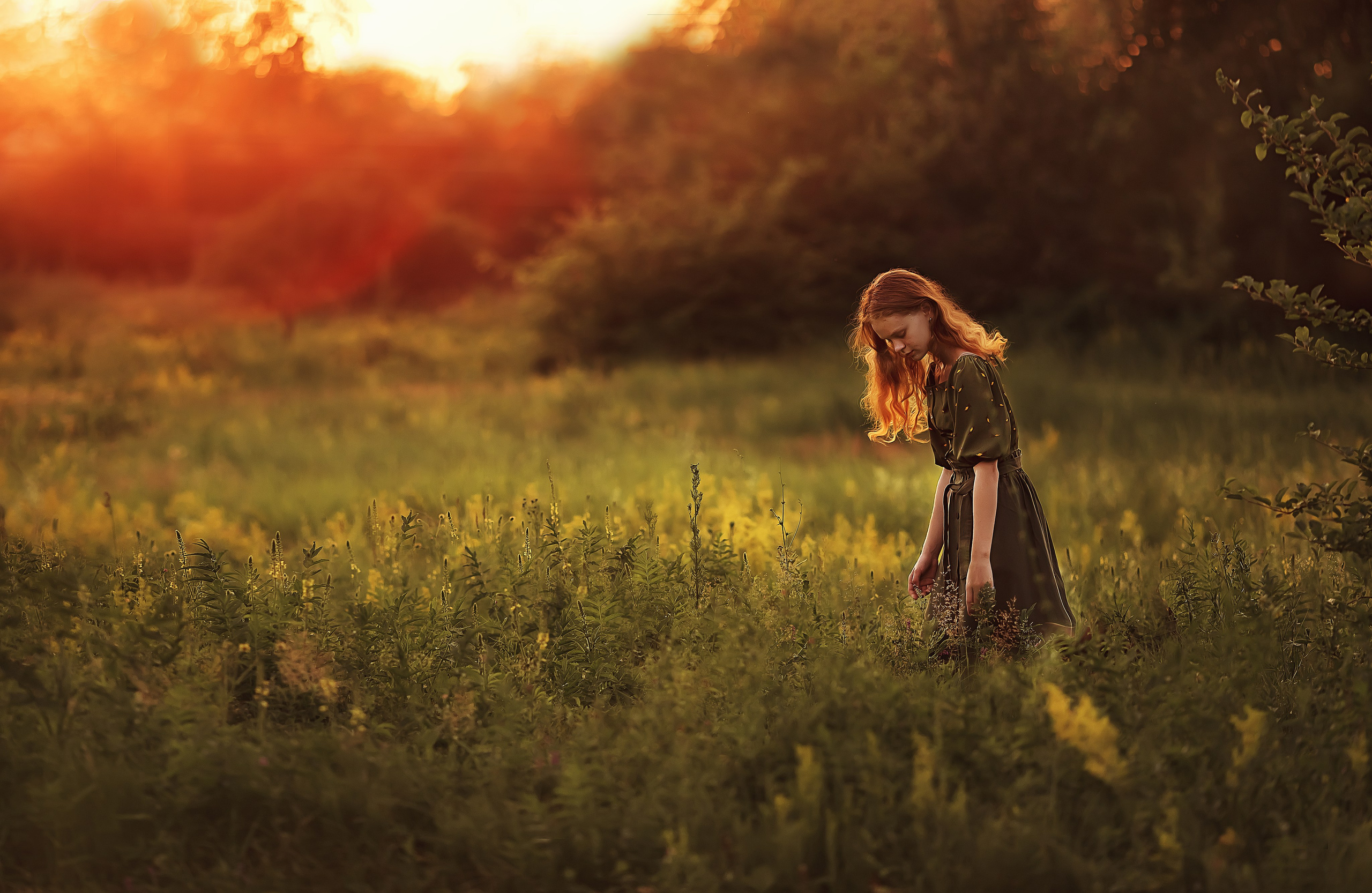 На закате. Ольга Смирнова юрист, фотограф