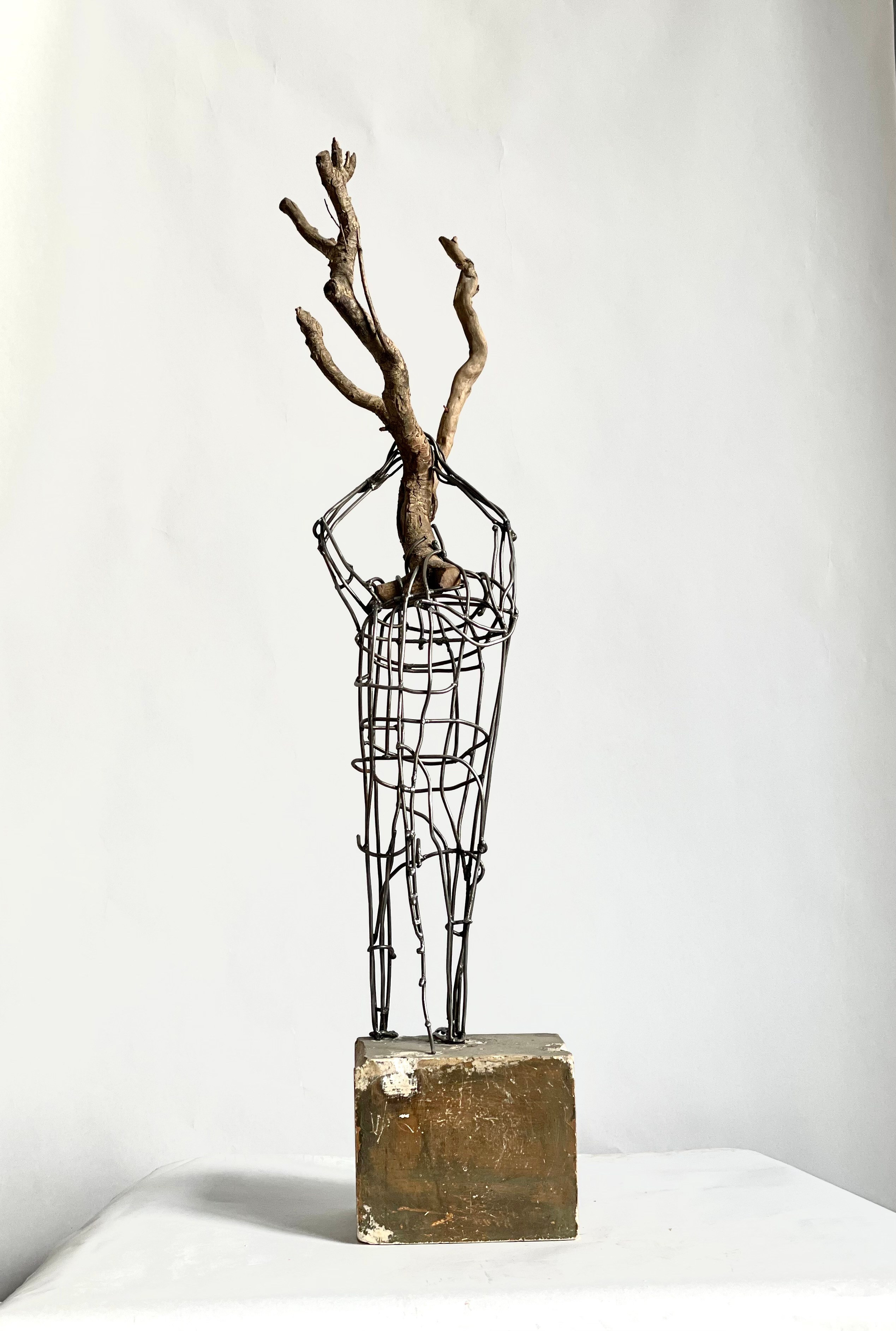 Серия «пойманные лесом» / series «Caught by the Forest». Художник — скульптор Антонина Фатхуллина