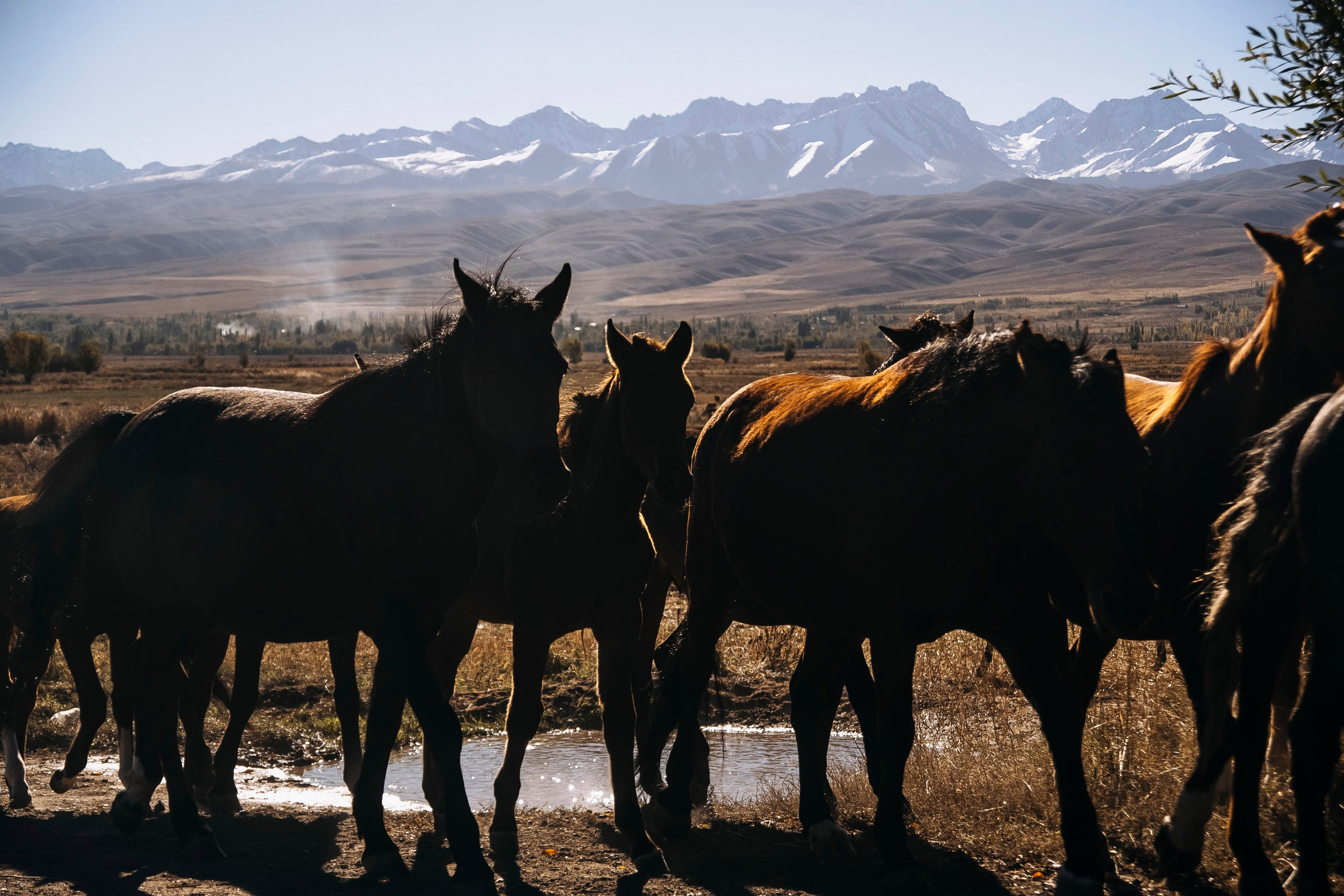 Кыргызстан. Iraogo