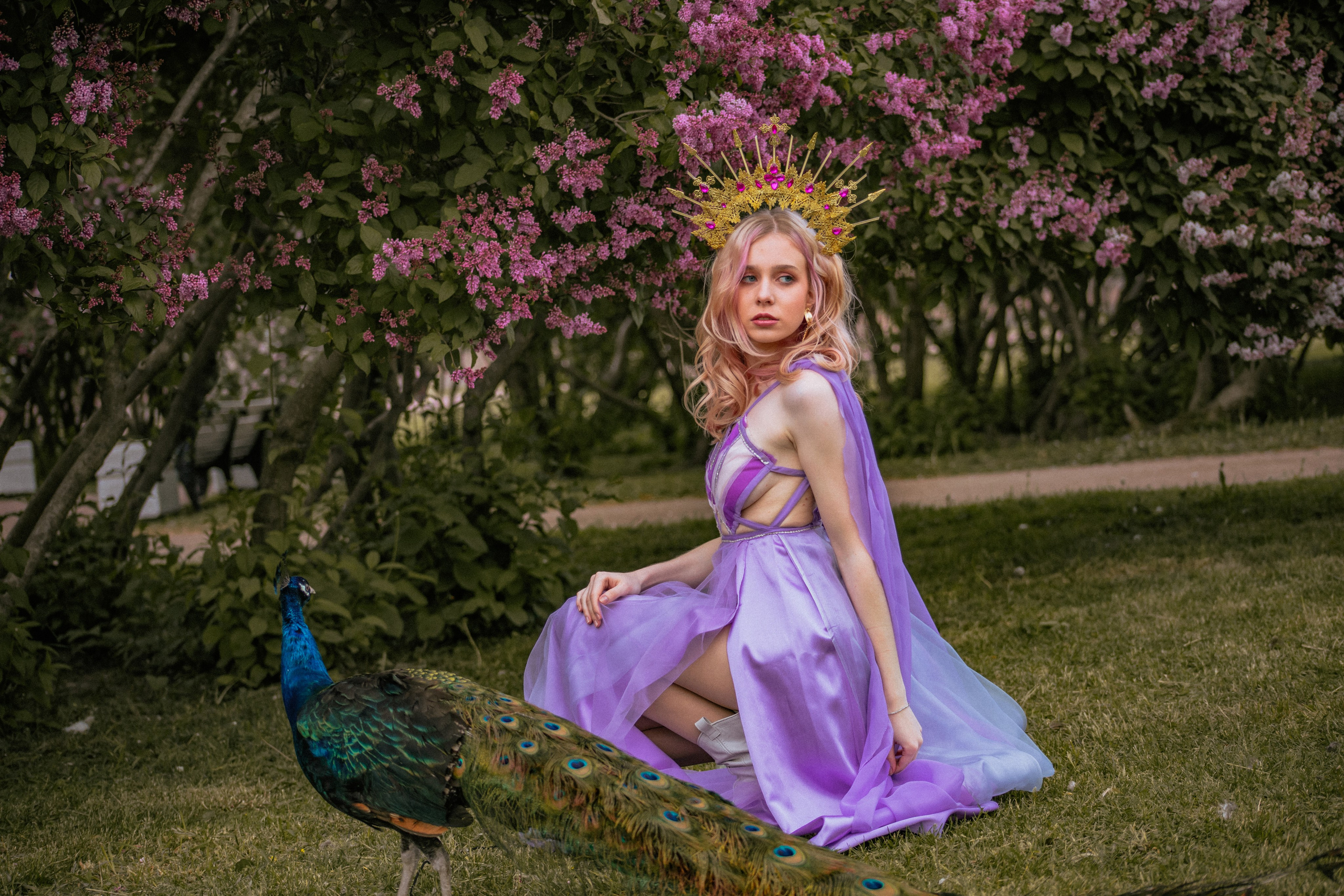 Павлин. Elena Sova — семейный и женский фотограф в Санкт-Петербурге