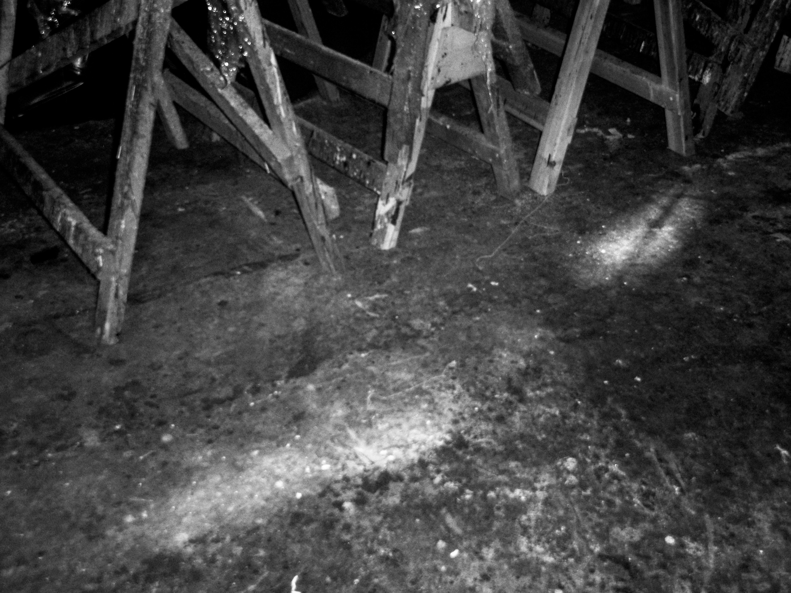 Olimpus mju 1030sw. Анна Мильч