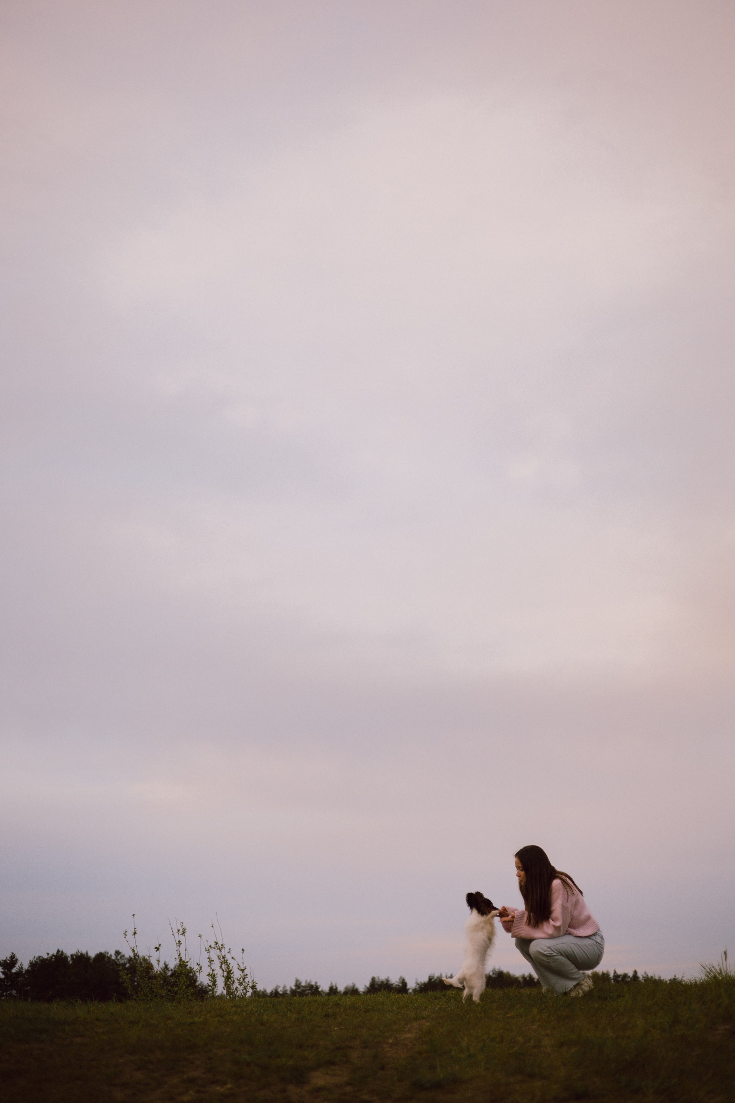 Вика и Бруни. Фотограф — анималист •love-story•|Санкт-Петербург