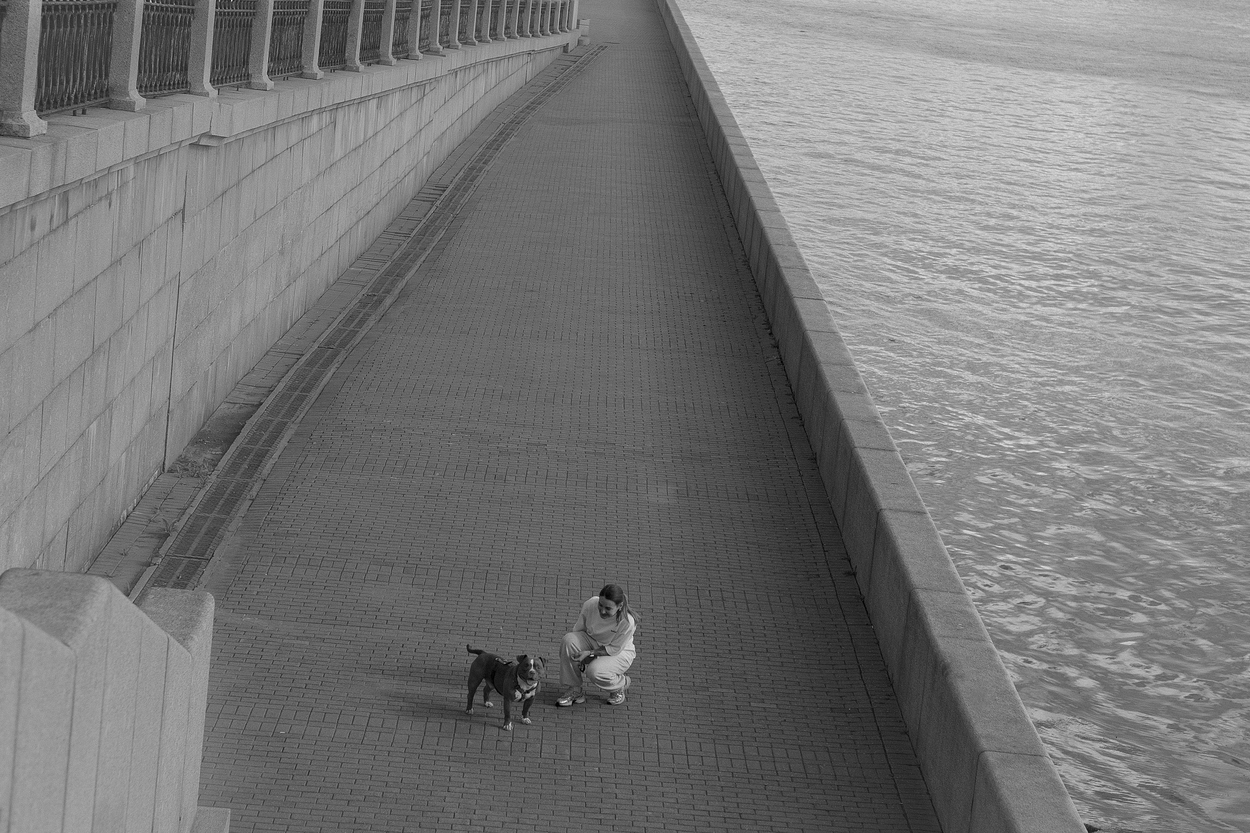 Анжела & Арес. Фотограф — анималист •love-story•|Санкт-Петербург