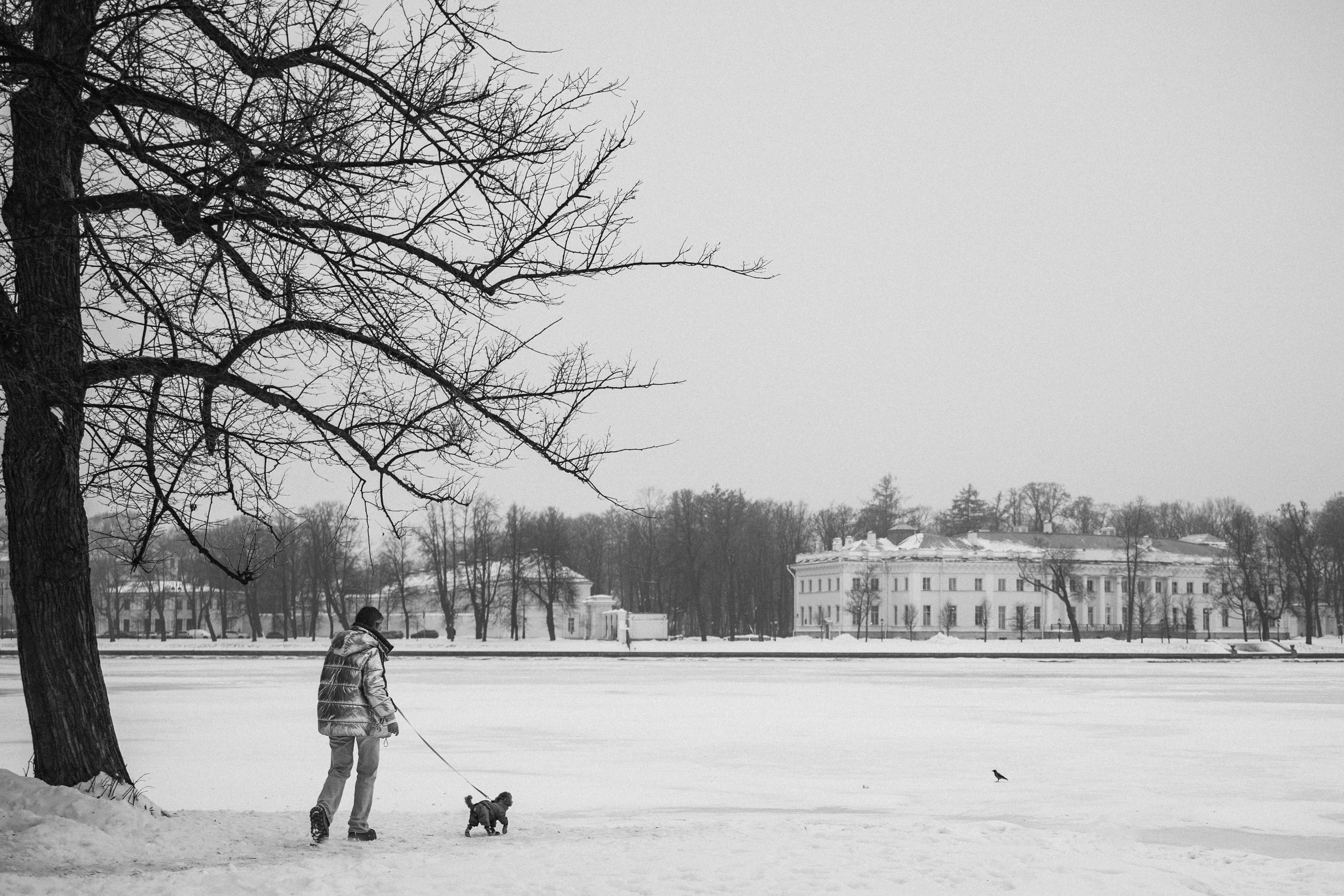 Лилия & Люся. Семейный фотограф Питер •love-story•|Санкт-Петербург