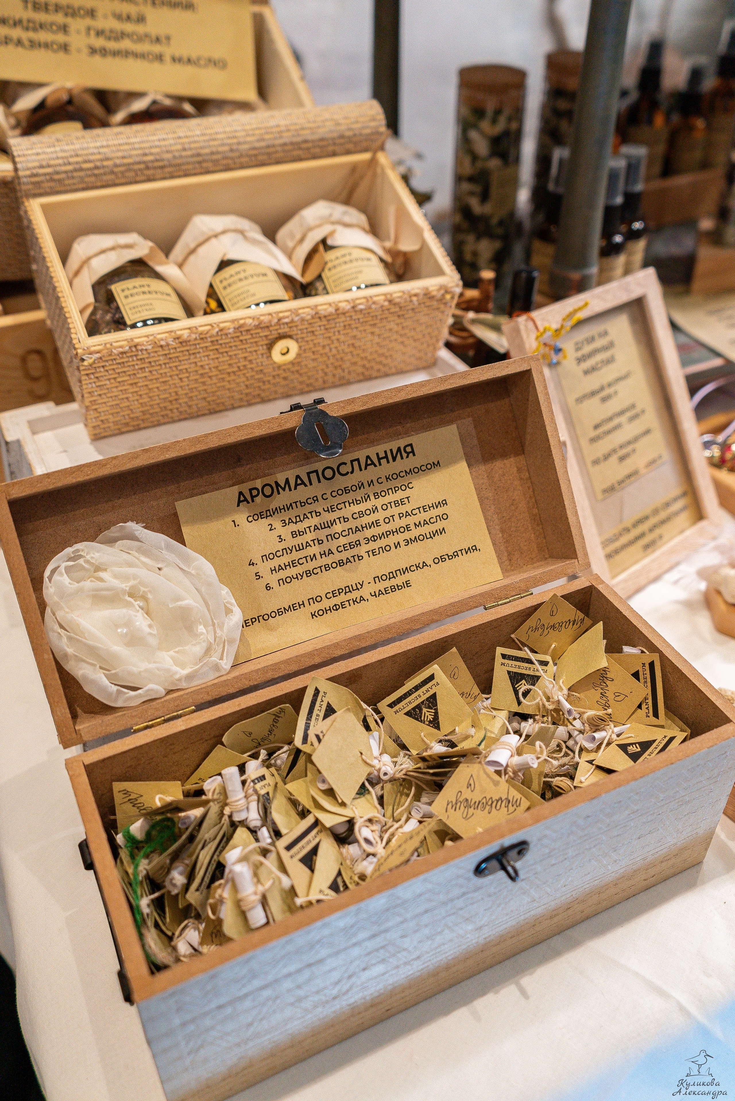 Гроубокс Артплей апрель. Александра Куликова фотограф, Москва