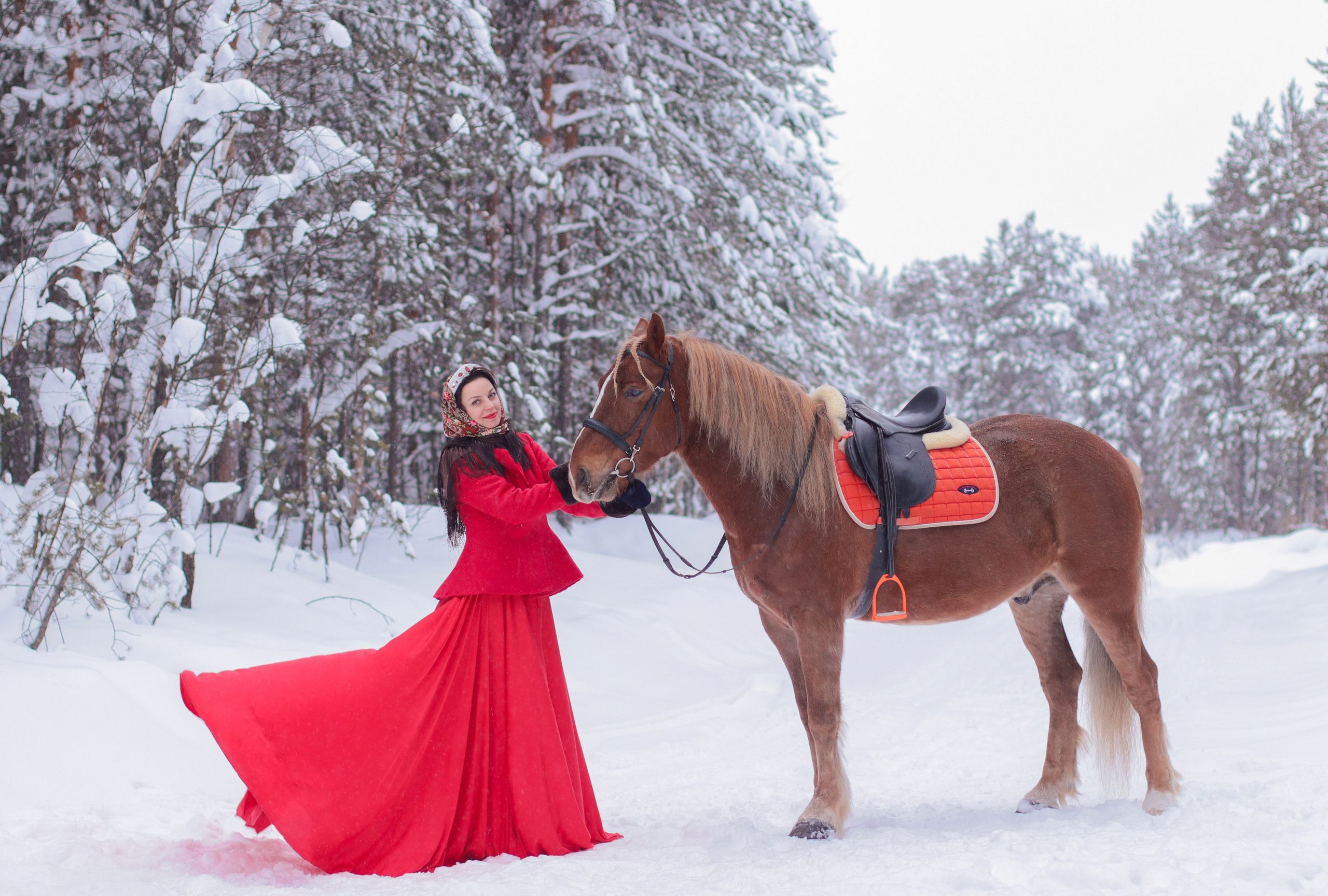Конные съемки зимой. Фотограф в Сургуте Брызгунова Анастасия