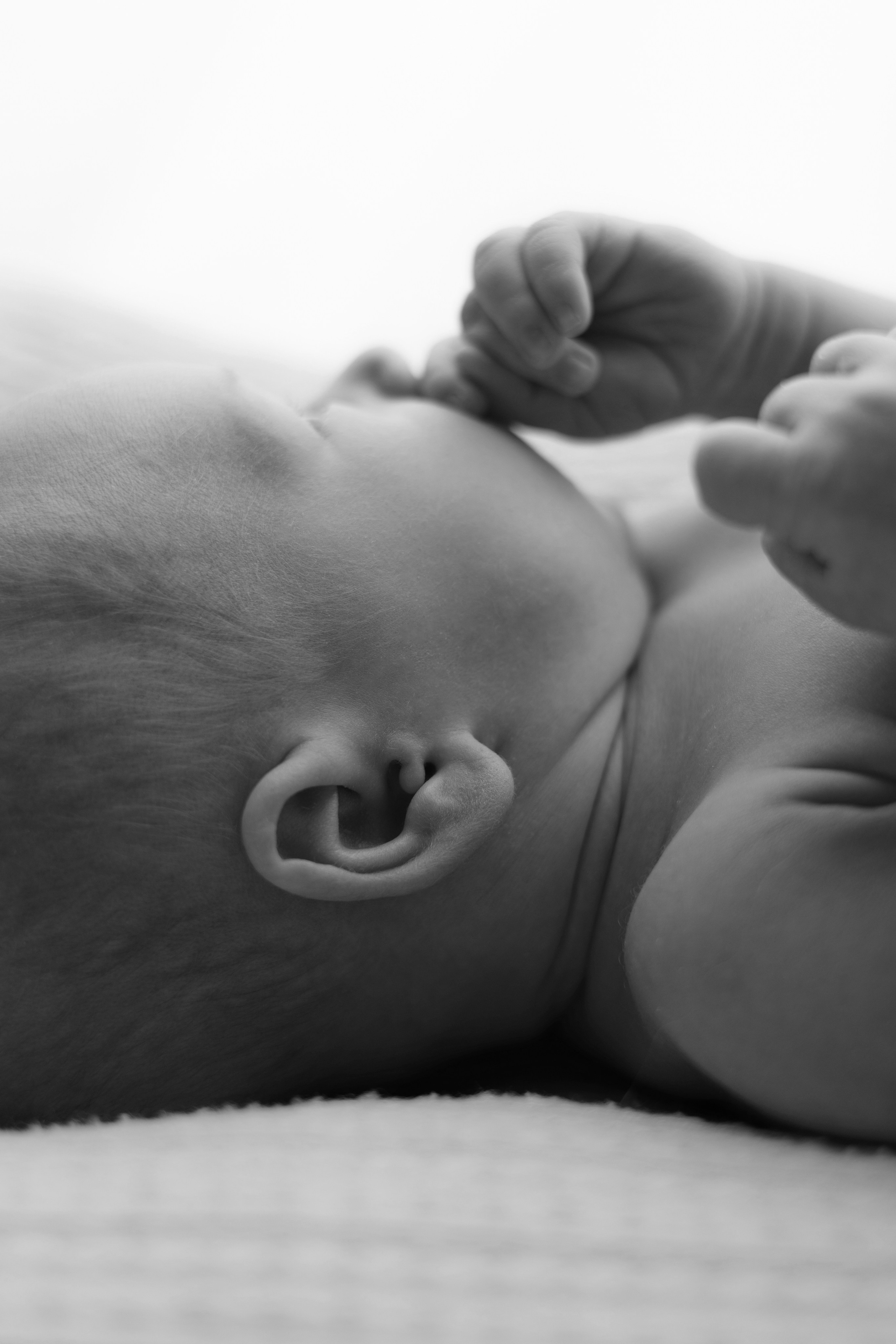 Тихон. Лилия Алтухова — фотограф новорожденных в Москве и области