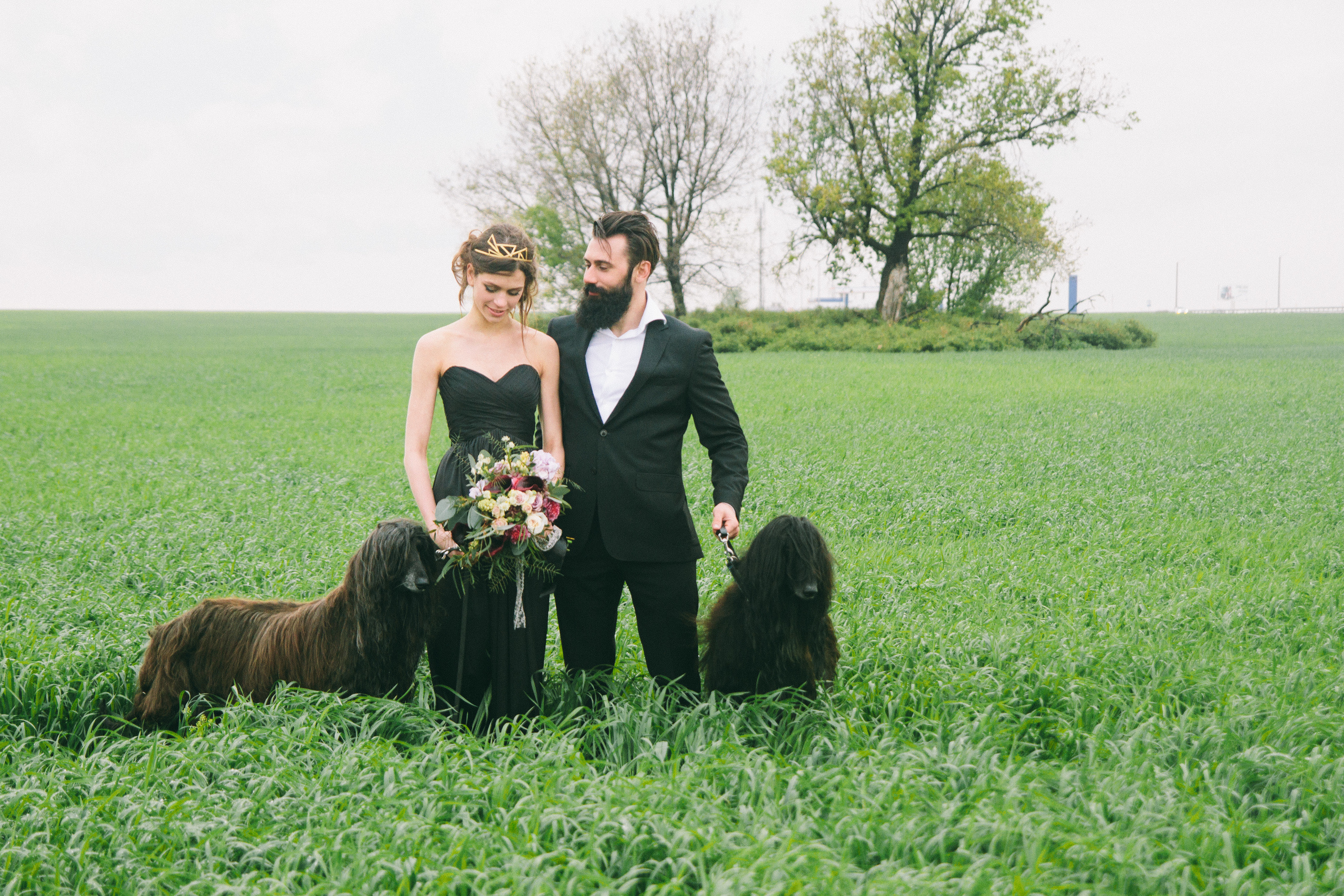 Александр и Елизавета. Свадебный фотограф в Самаре Анна Ковалева