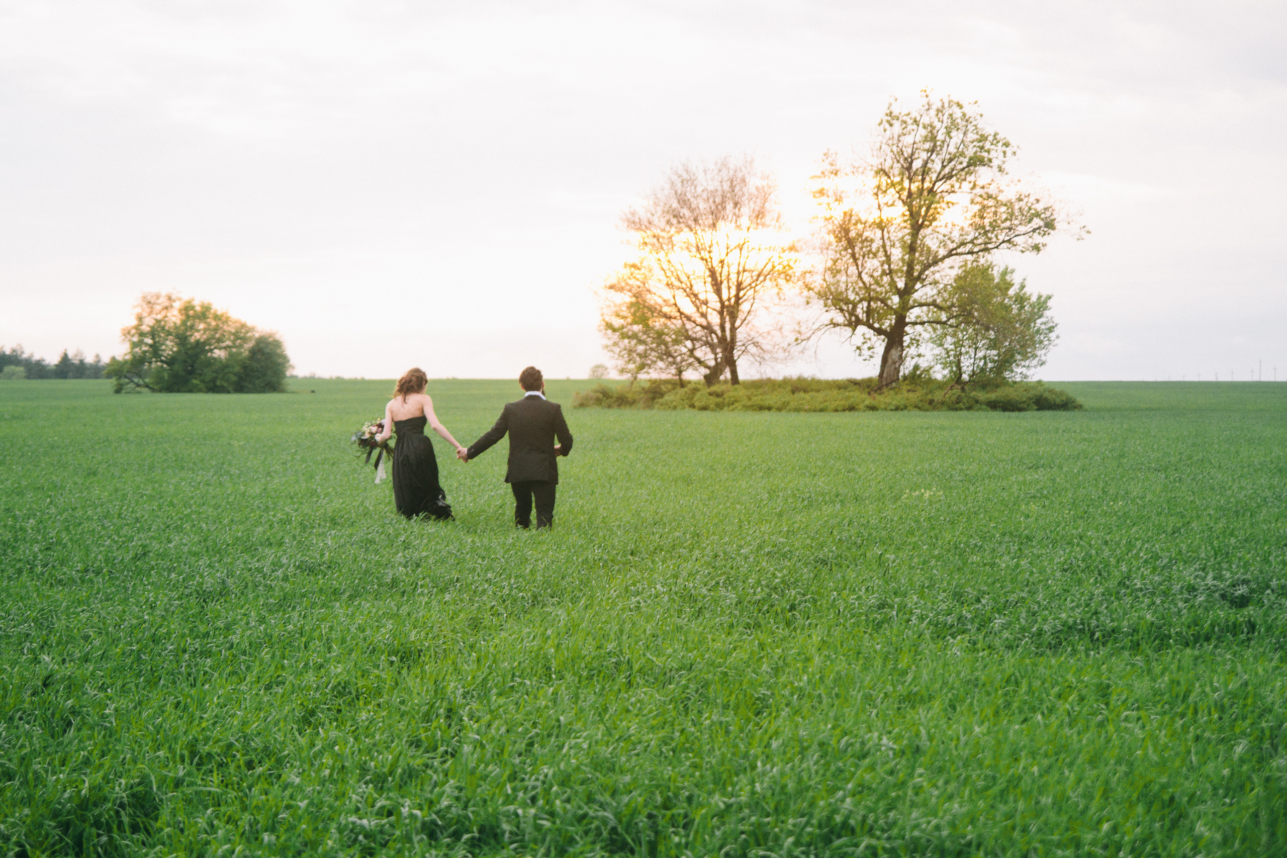 Александр и Елизавета. Свадебный фотограф в Самаре Анна Ковалева