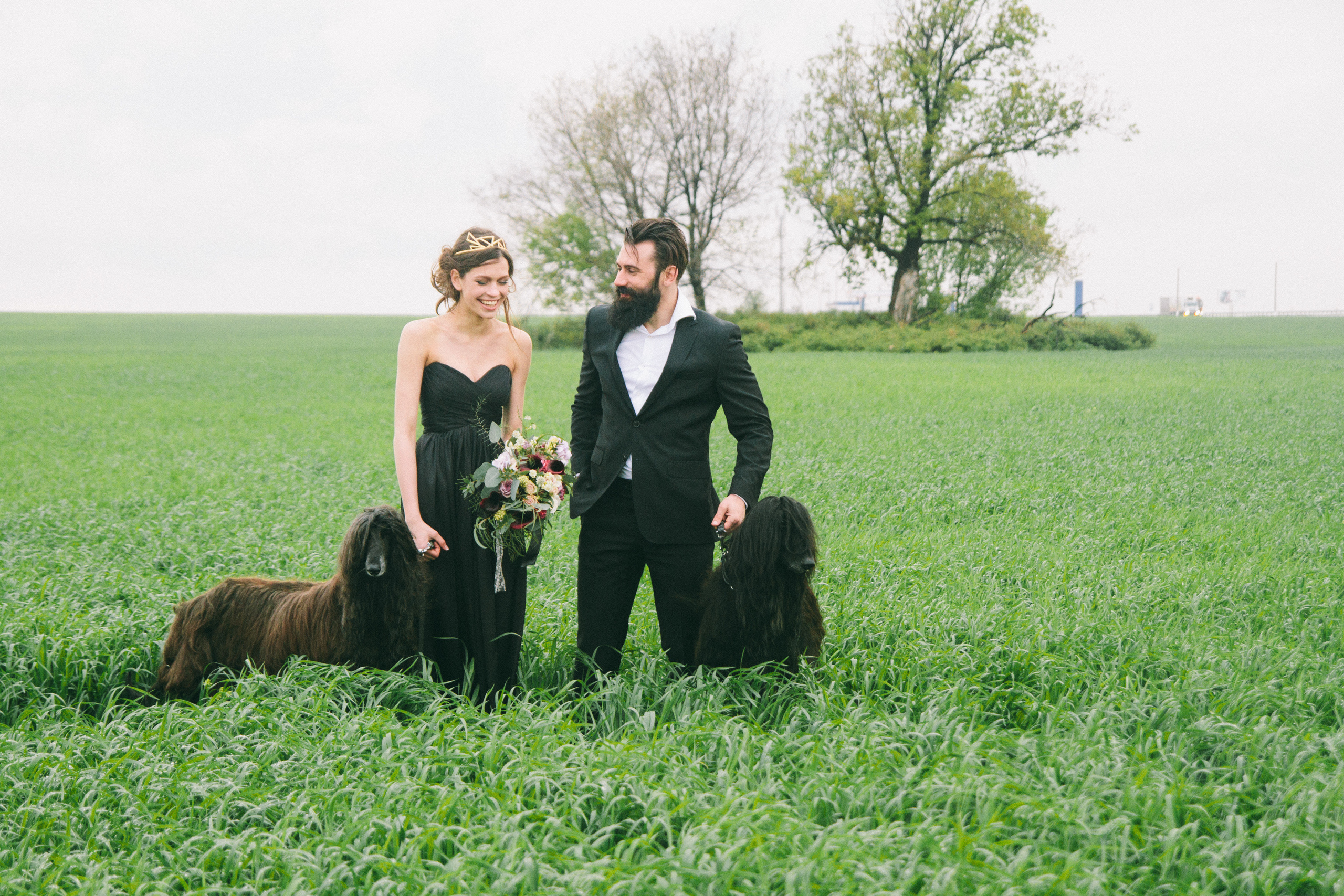 Александр и Елизавета. Свадебный фотограф в Самаре Анна Ковалева