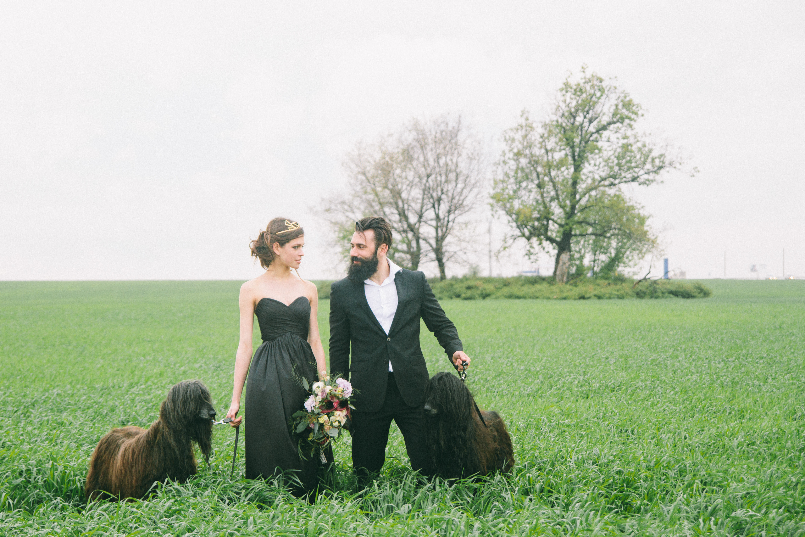 Александр и Елизавета. Свадебный фотограф в Самаре Анна Ковалева