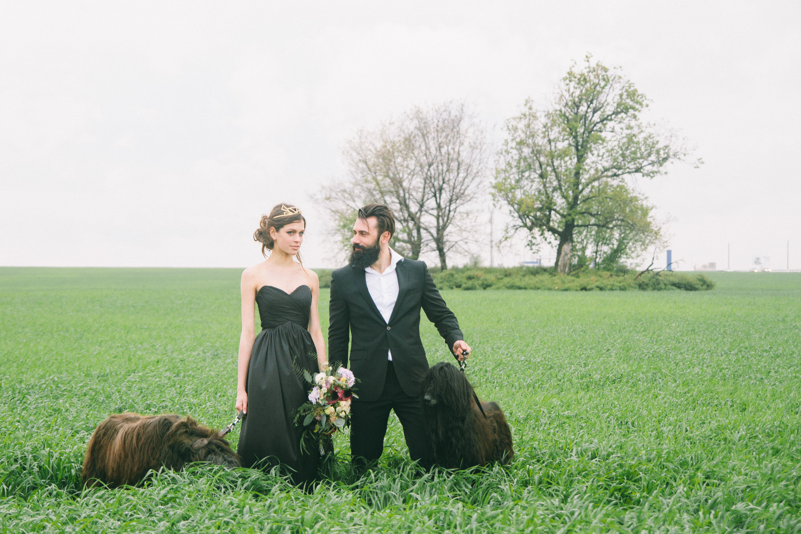 Александр и Елизавета. Свадебный фотограф в Самаре Анна Ковалева