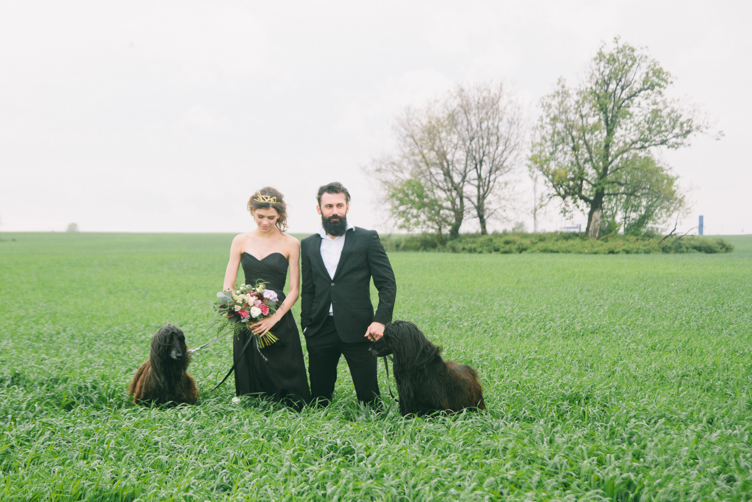 Александр и Елизавета. Свадебный фотограф в Самаре Анна Ковалева
