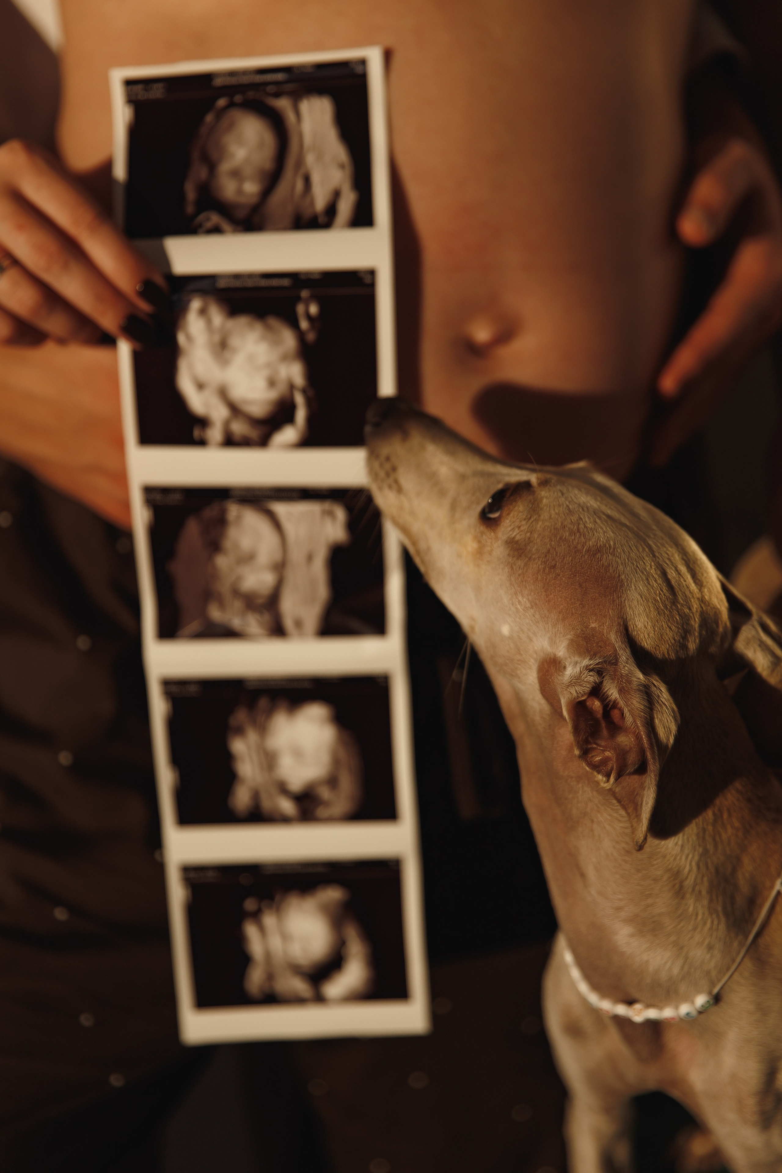 Вика и Егор в ожидании. Wedding photographer in St. Petersburg, Europe and Israel Anna Agafon