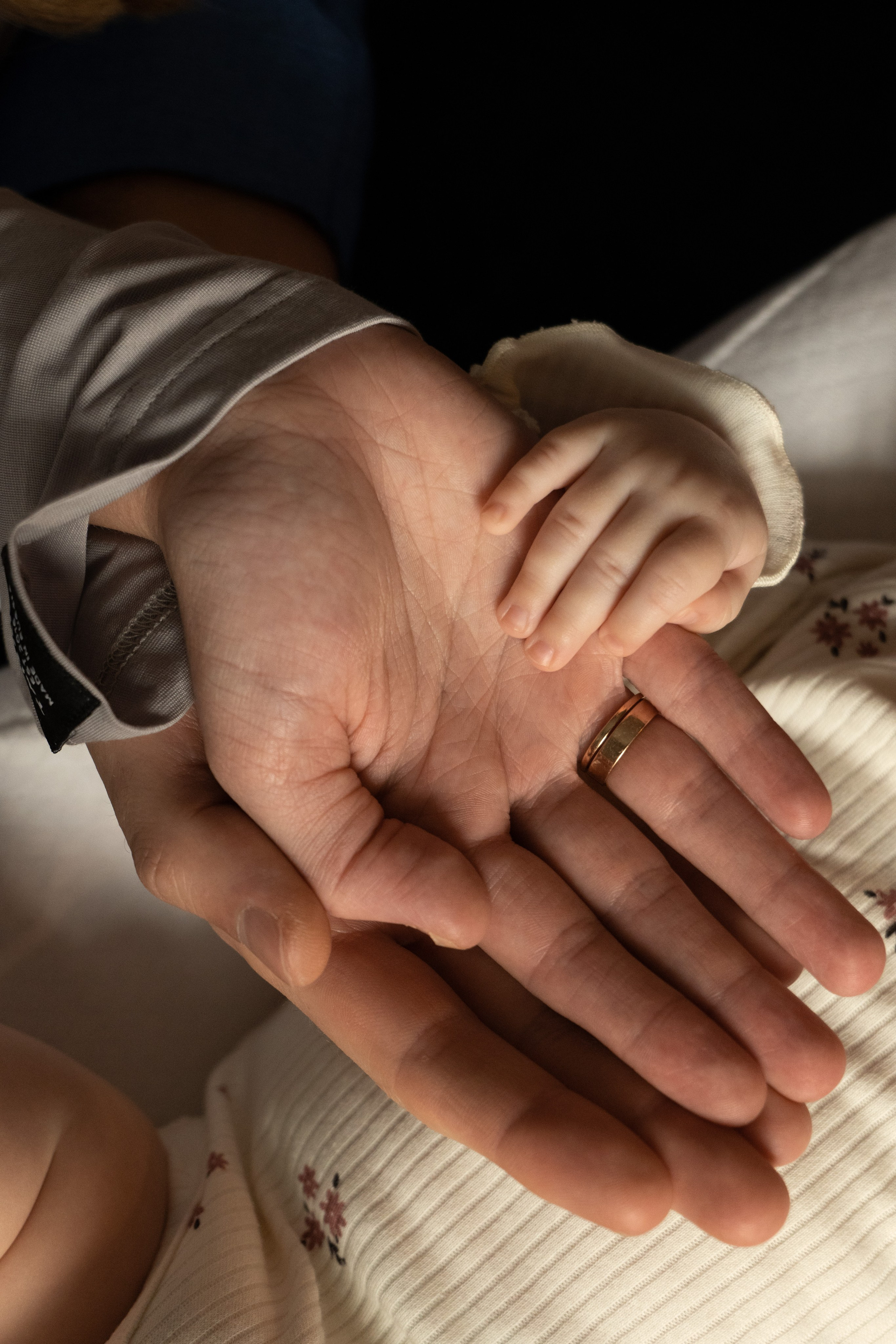 Семейная фотосессия (Ае 2 месяца). Фотограф видеограф Ольга Василевская