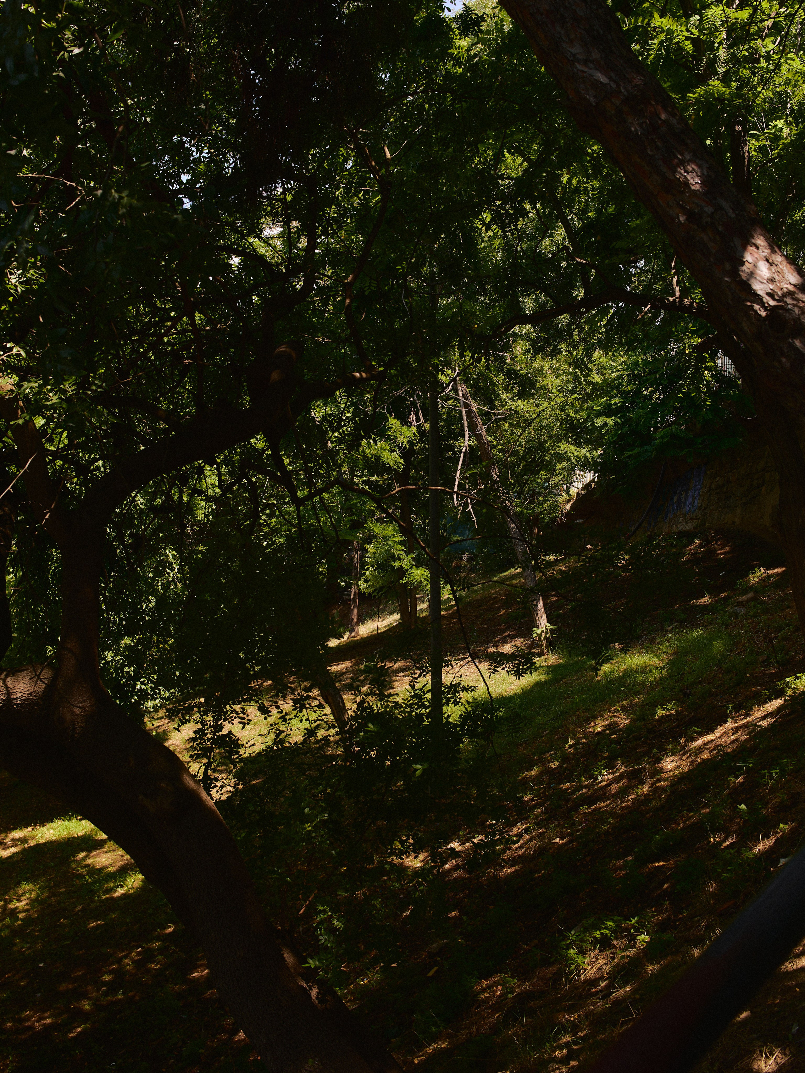 Другое 3. Jorgis Talè — photographer, kind person, teacher of arts and other mag