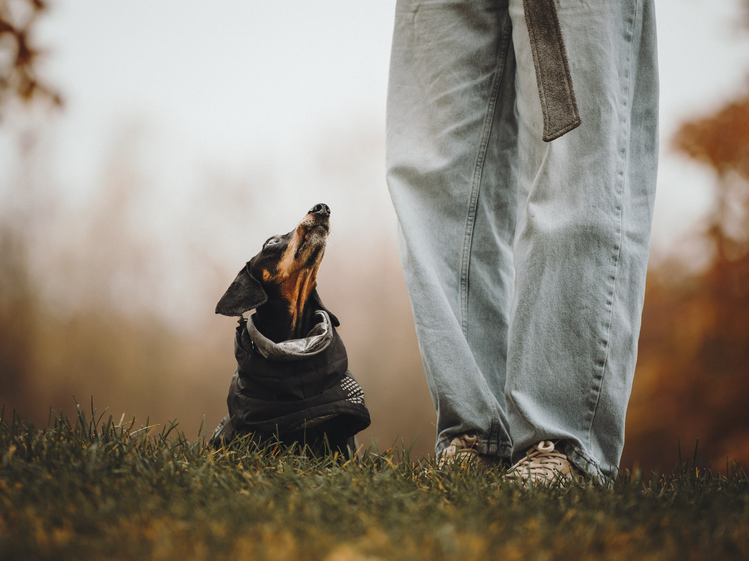 Аня, Оскар и Яр. Семейный фотограф анималист Ананьева Мария — Москва