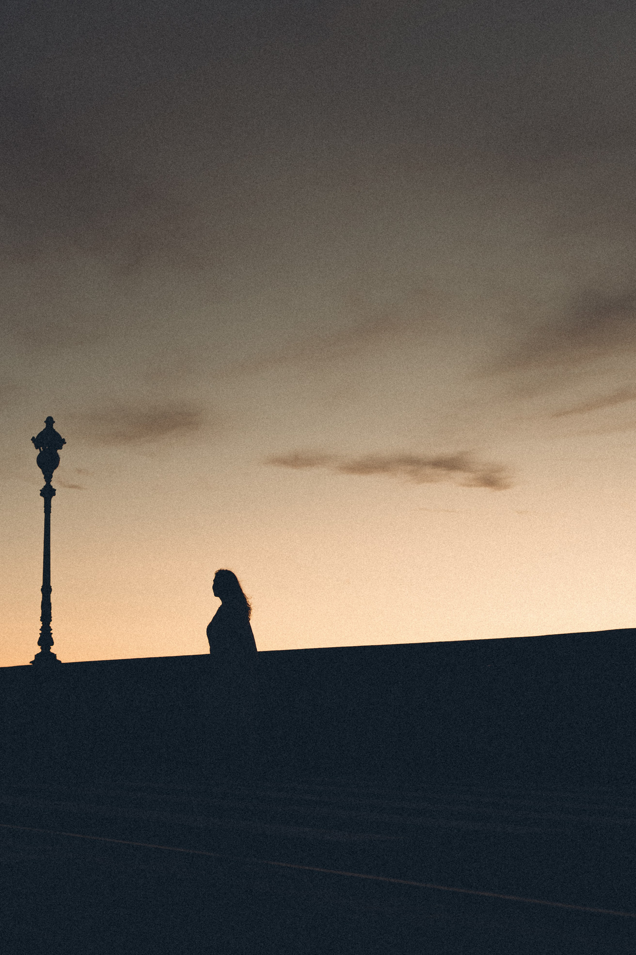 РАССВЕТ С РАЗВОДНЫМИ МОСТАМИ. Профессиональный фотограф, Санкт-Петербург — Виктория Богомолова