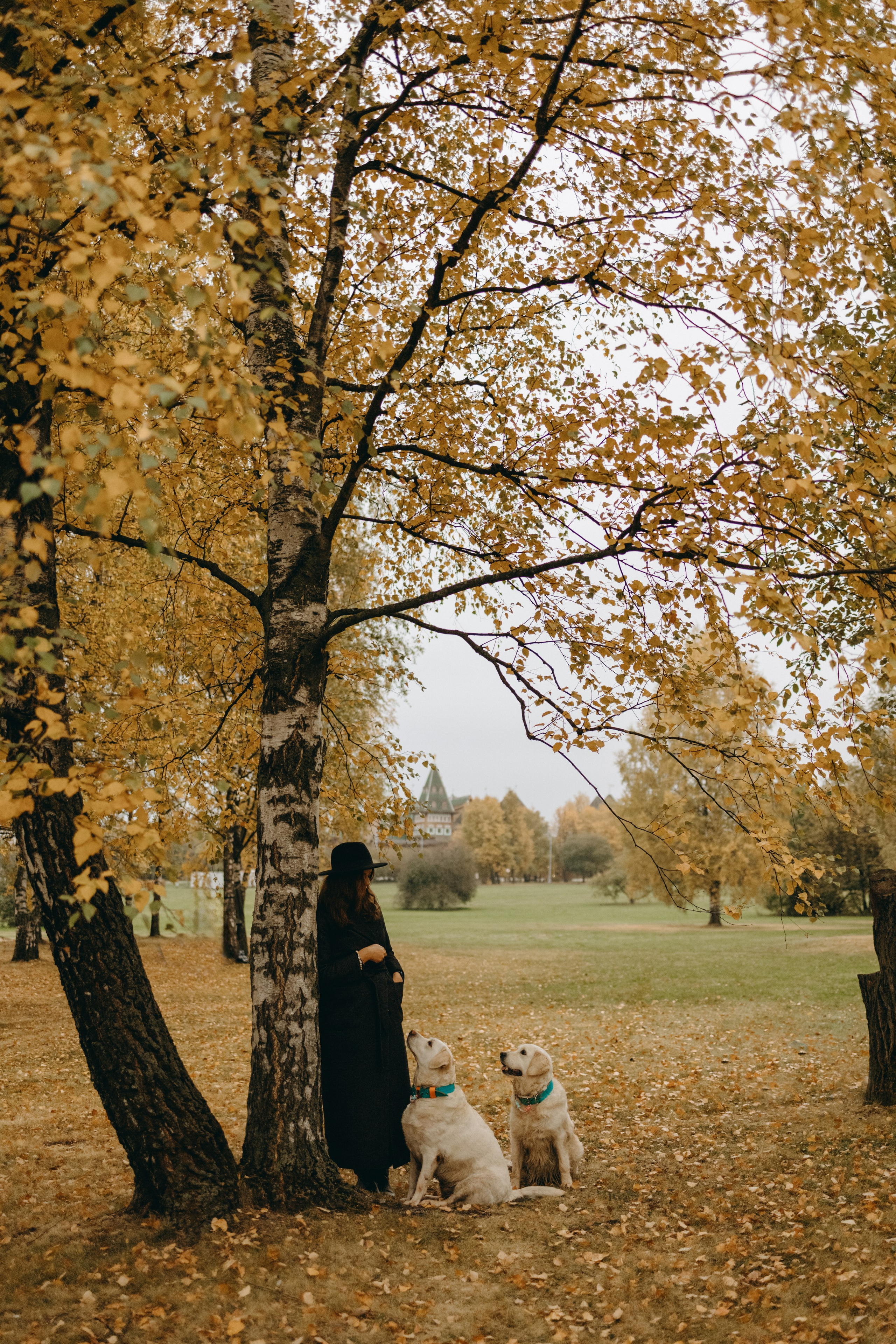 Женя и ее девочки. Фотограф — Анималист | Санкт-Петербург
