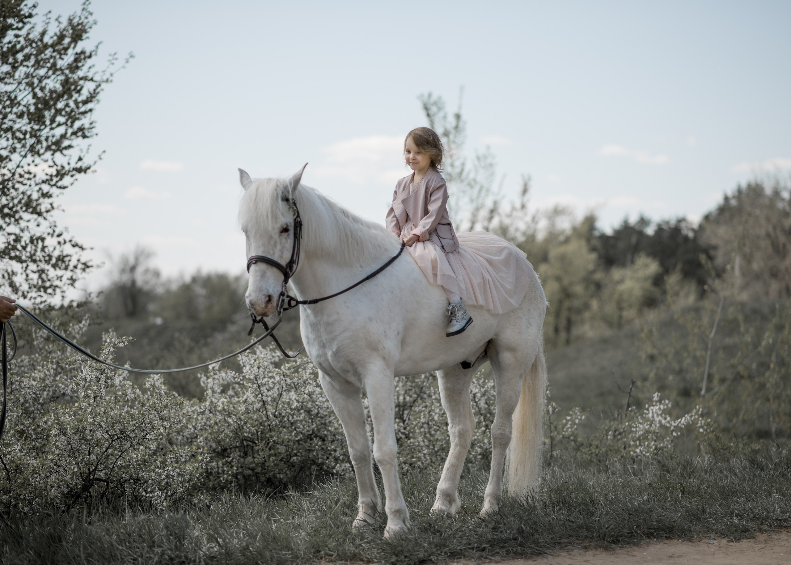 Дети и лошади. Конный фотограф в Саратове Юлия Иванова
