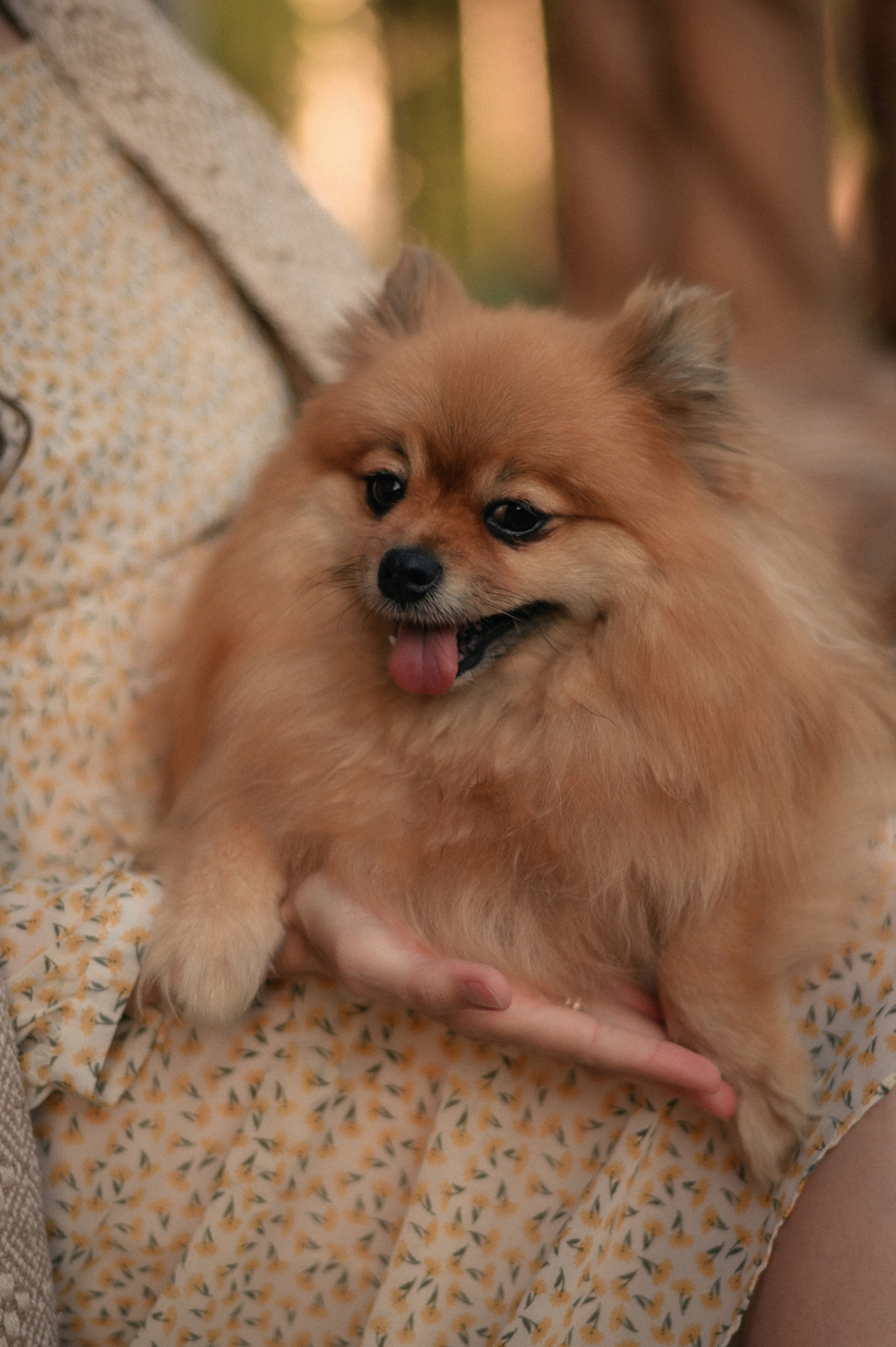 Марина и Петр (в ожидании). Фотограф, г. Лесной Свердловской области