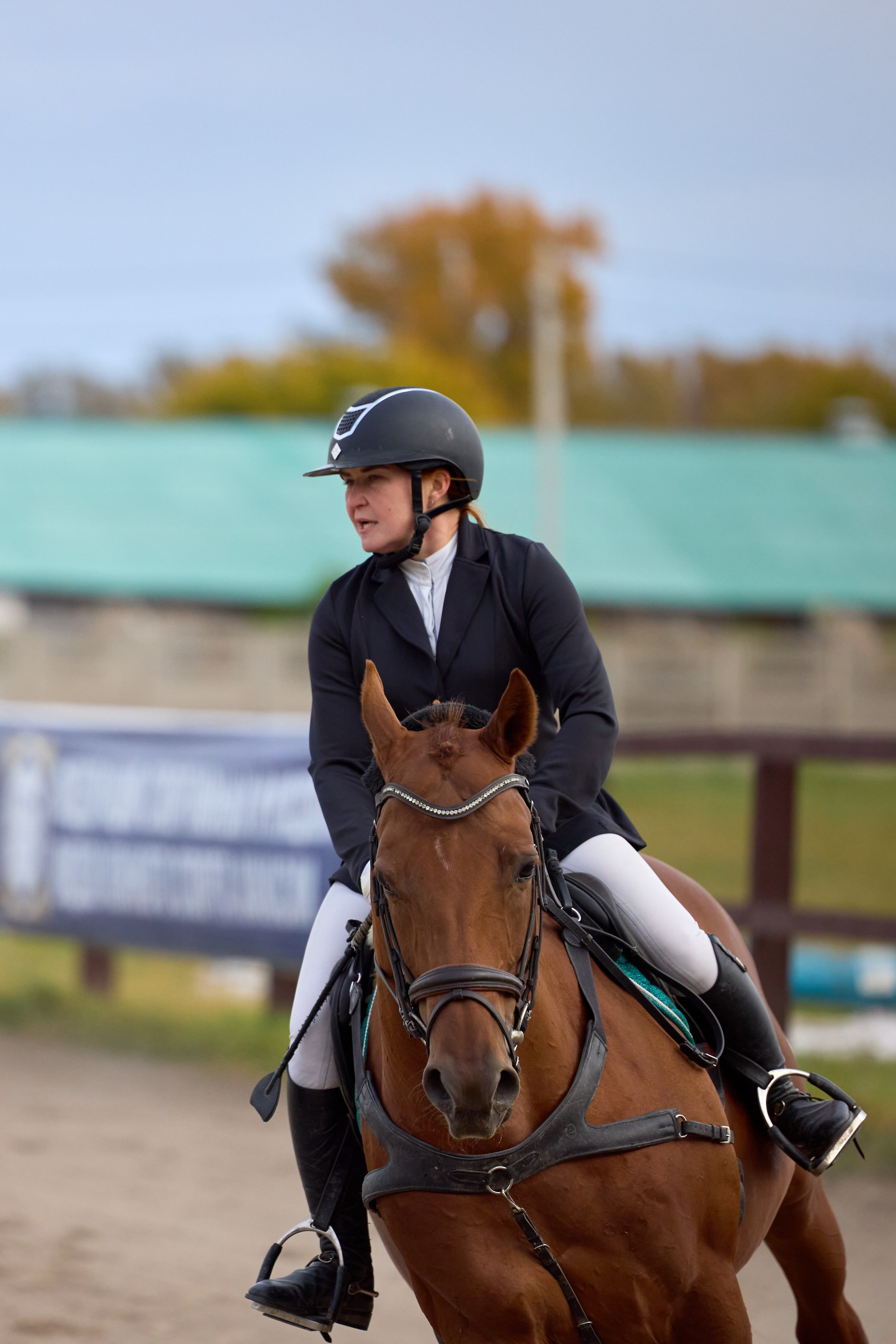 Конкур на Абаканском ипподроме. Ваши Истории. Фотограф/видеограф. Абакан