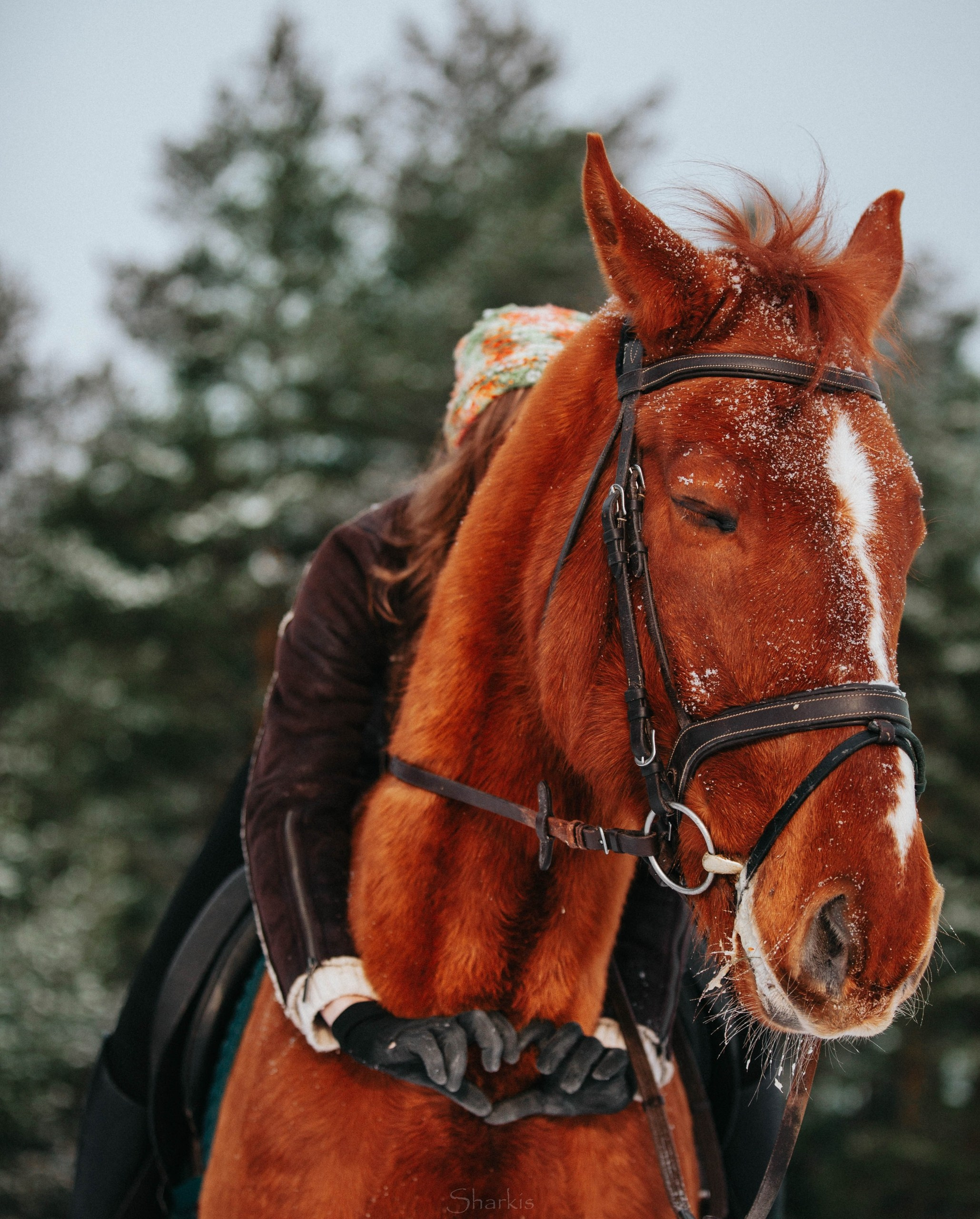 Ирина и Гепард. Фотограф Елизавета Филатова