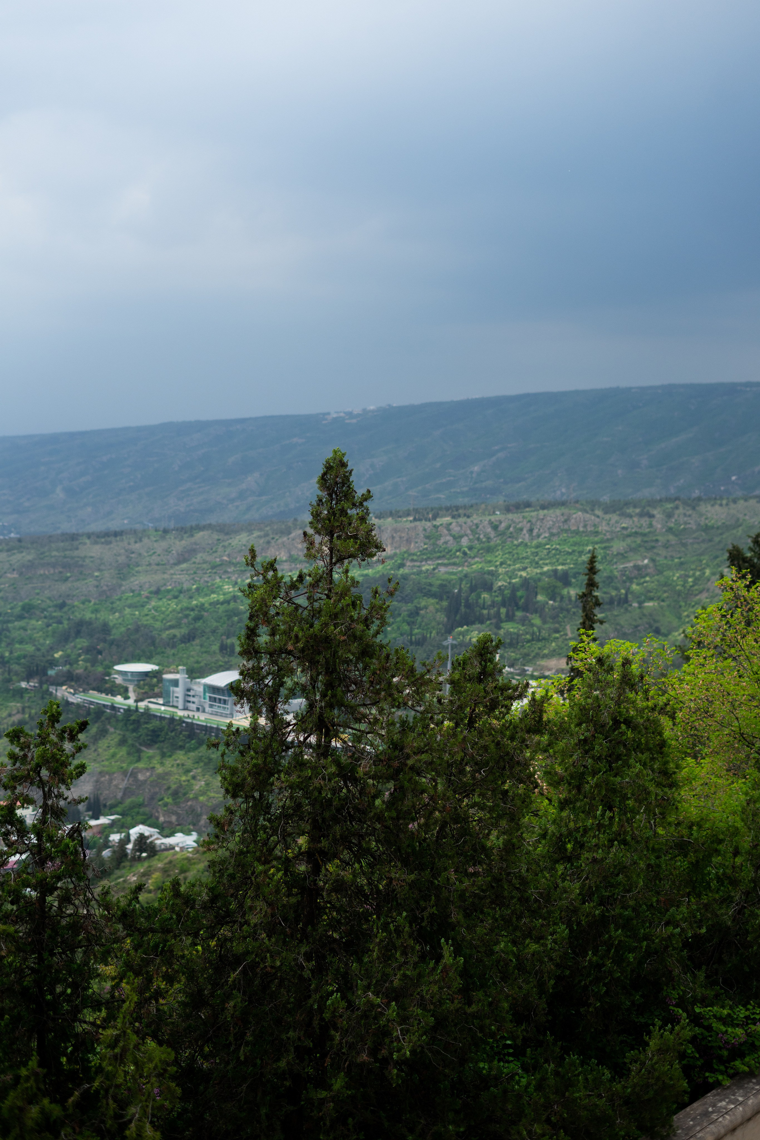 Tbilisi Events. Портретный и семейный фотограф в Мариуполе, РФ. Даша Жогло