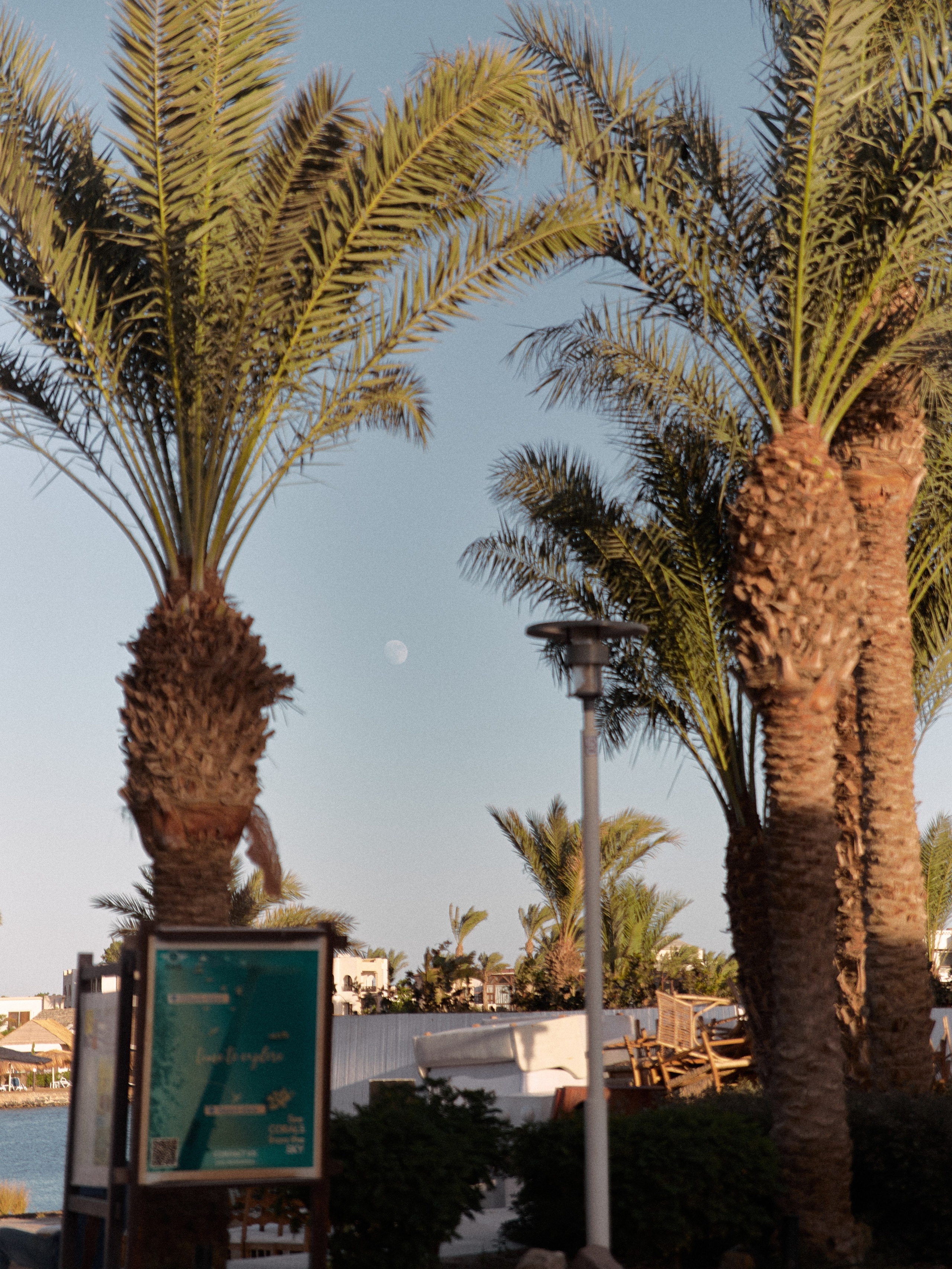 Диптих. Jorgis — фотограф в Хургаде / обучение фотографии