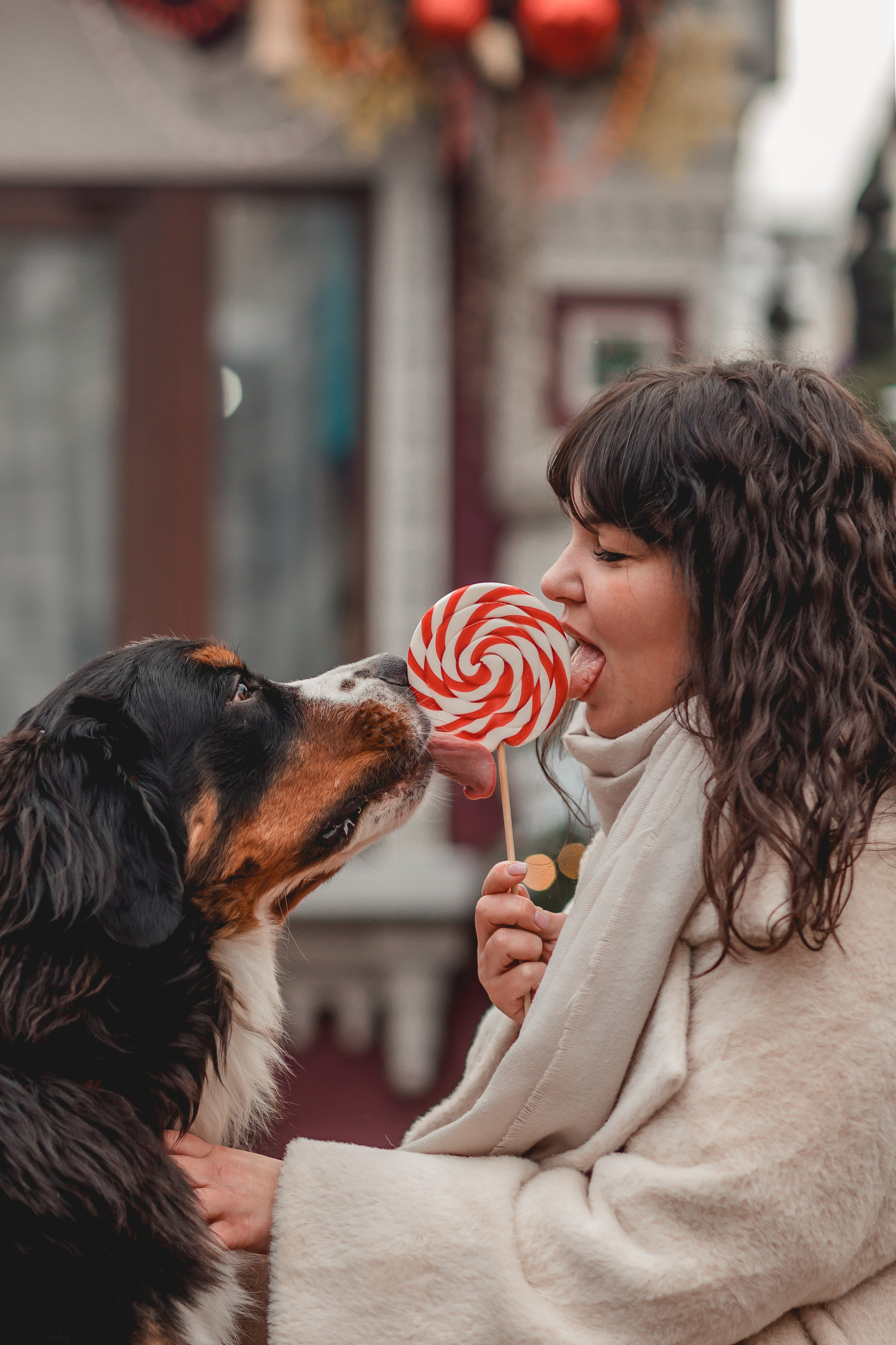 Татьяна и Терри. Семейный фотограф анималист Мария Крючкова