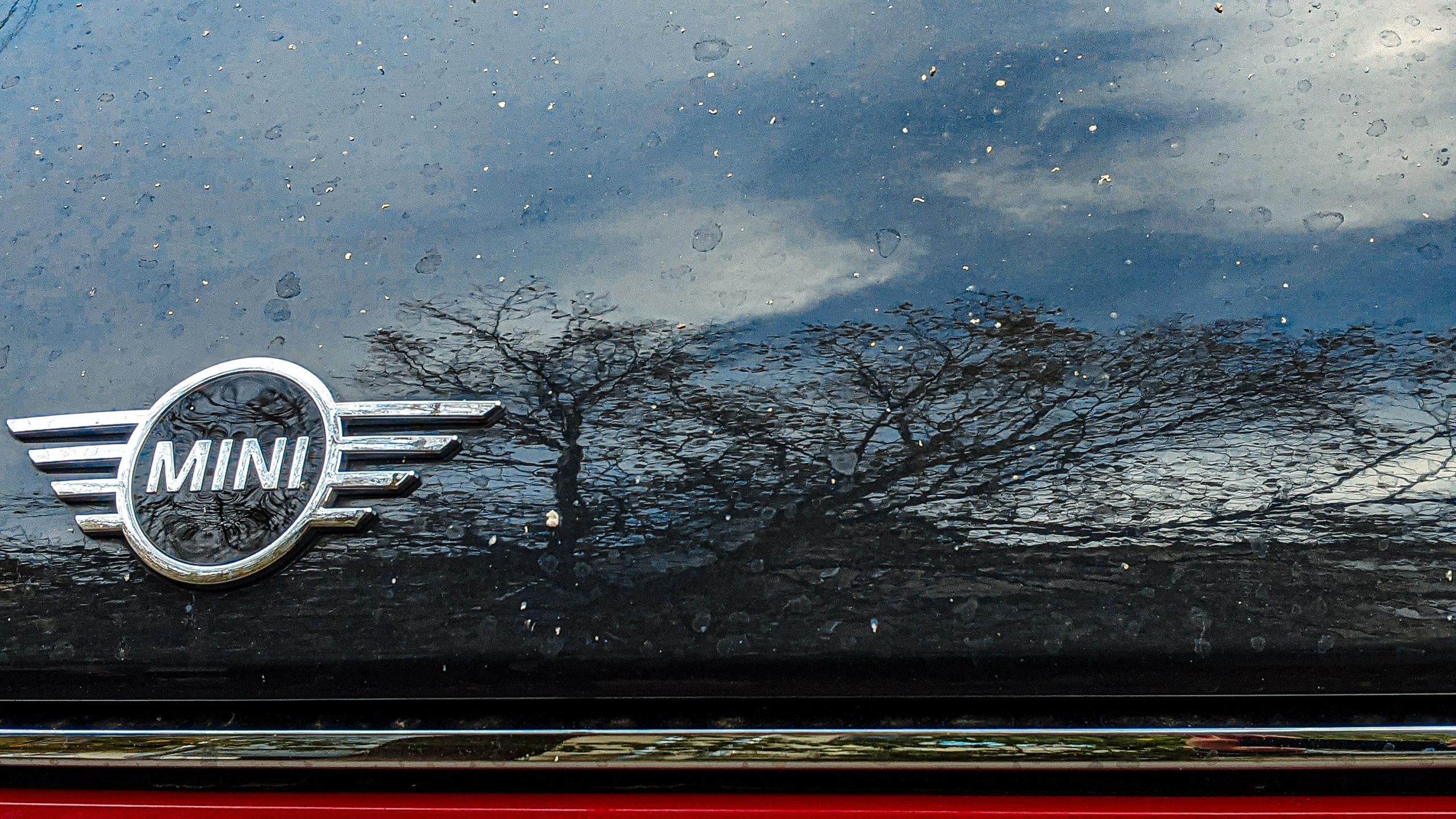 Мобильная фотография. Интерьерный и портретный фотограф в Москве Анна Моногарова