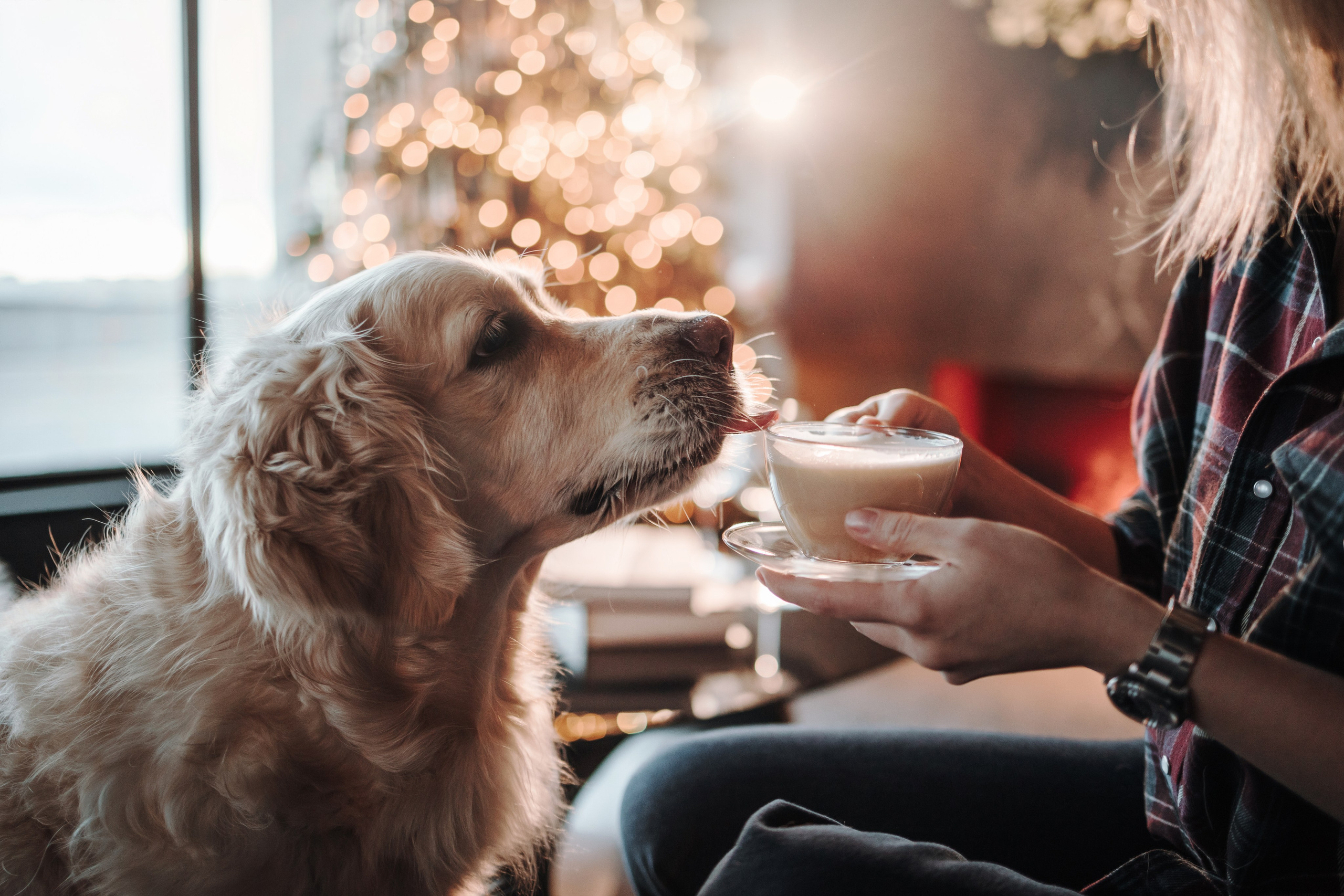 Вика и Рози. Фотограф — Анималист | Санкт-Петербург