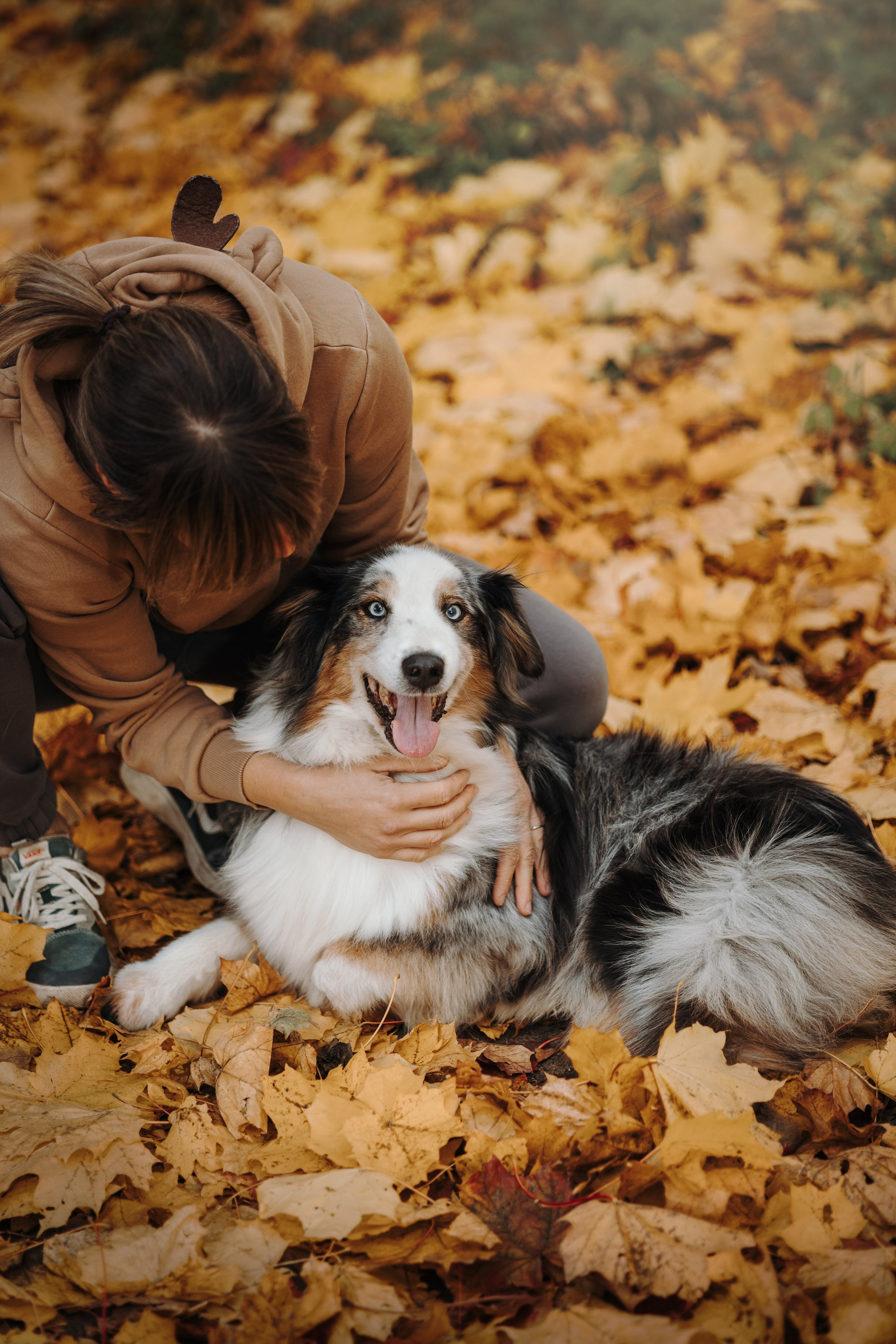 Бэстик и Ирина. Фотограф — Анималист | Санкт-Петербург