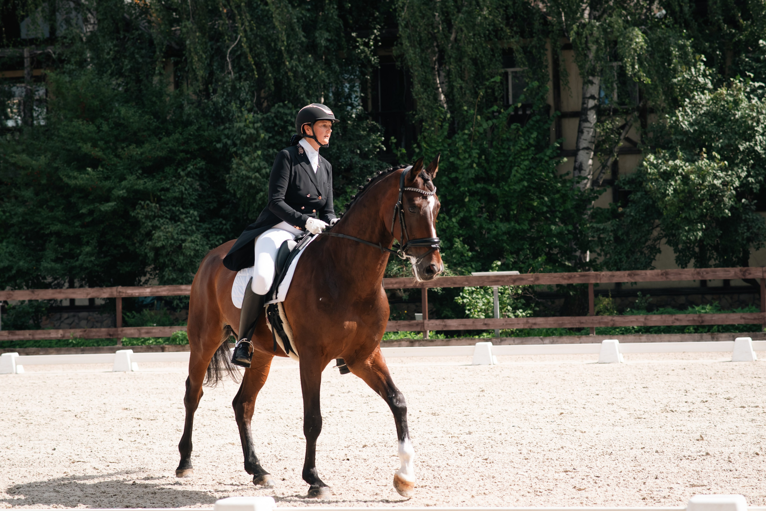 Выездка 10.08.25. Фотограф, визажист. Москва