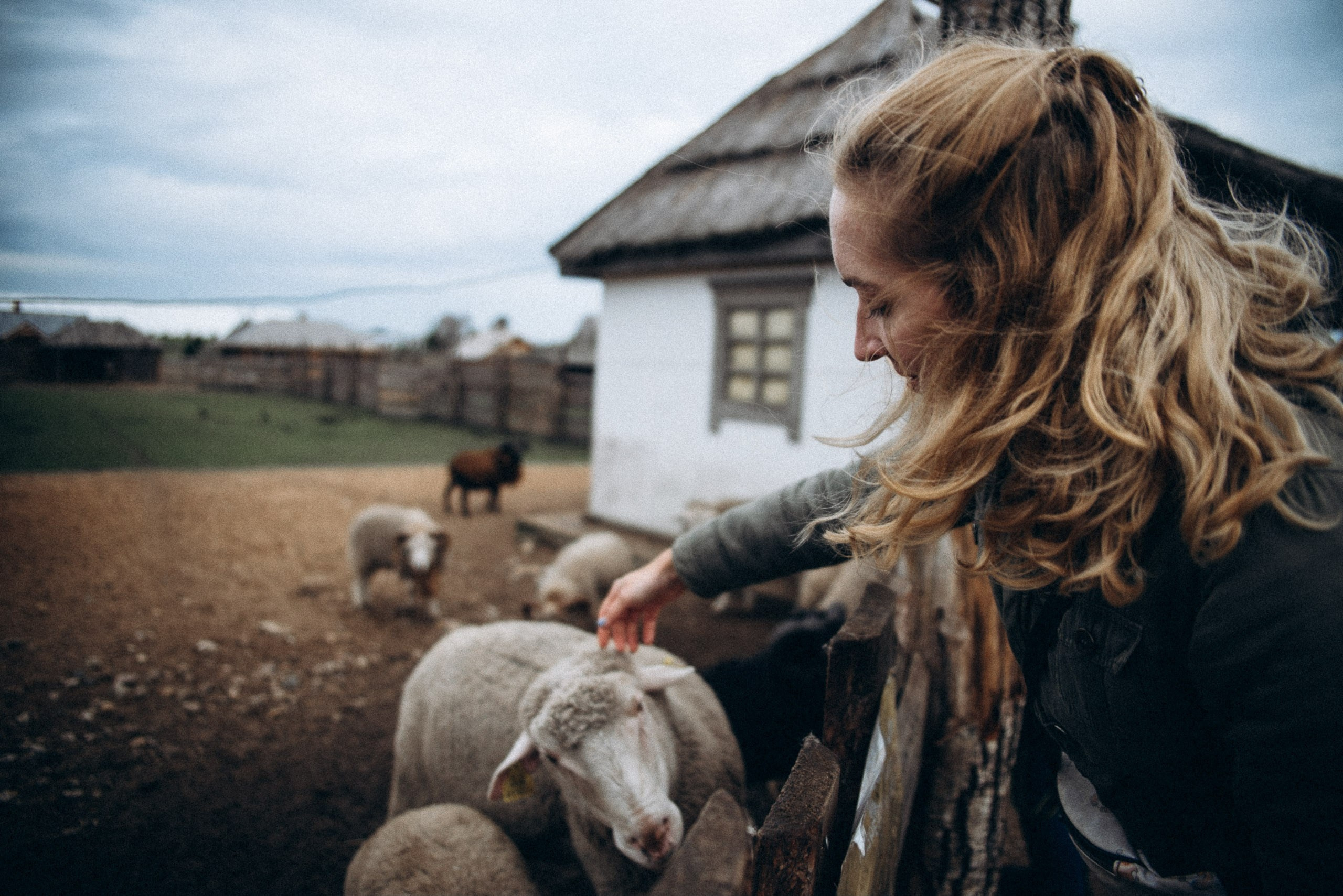 Диприз 🦌🌿🦝. Anita_photo