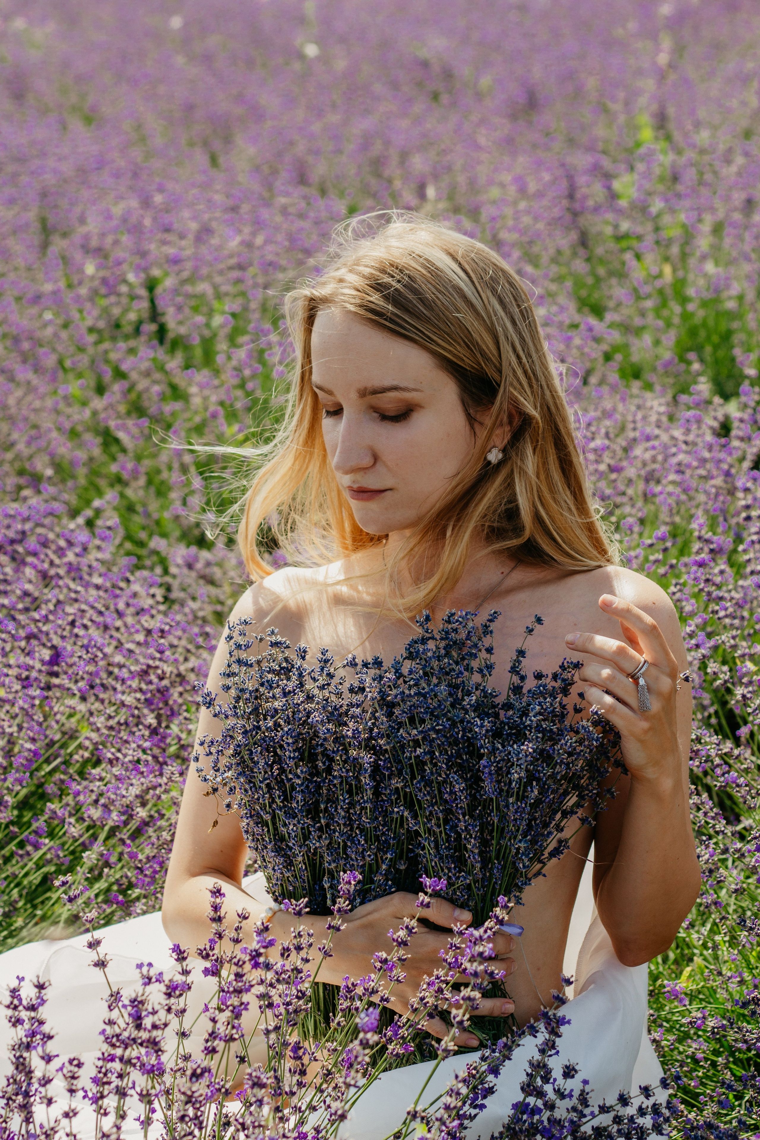 Лаванда. Главная