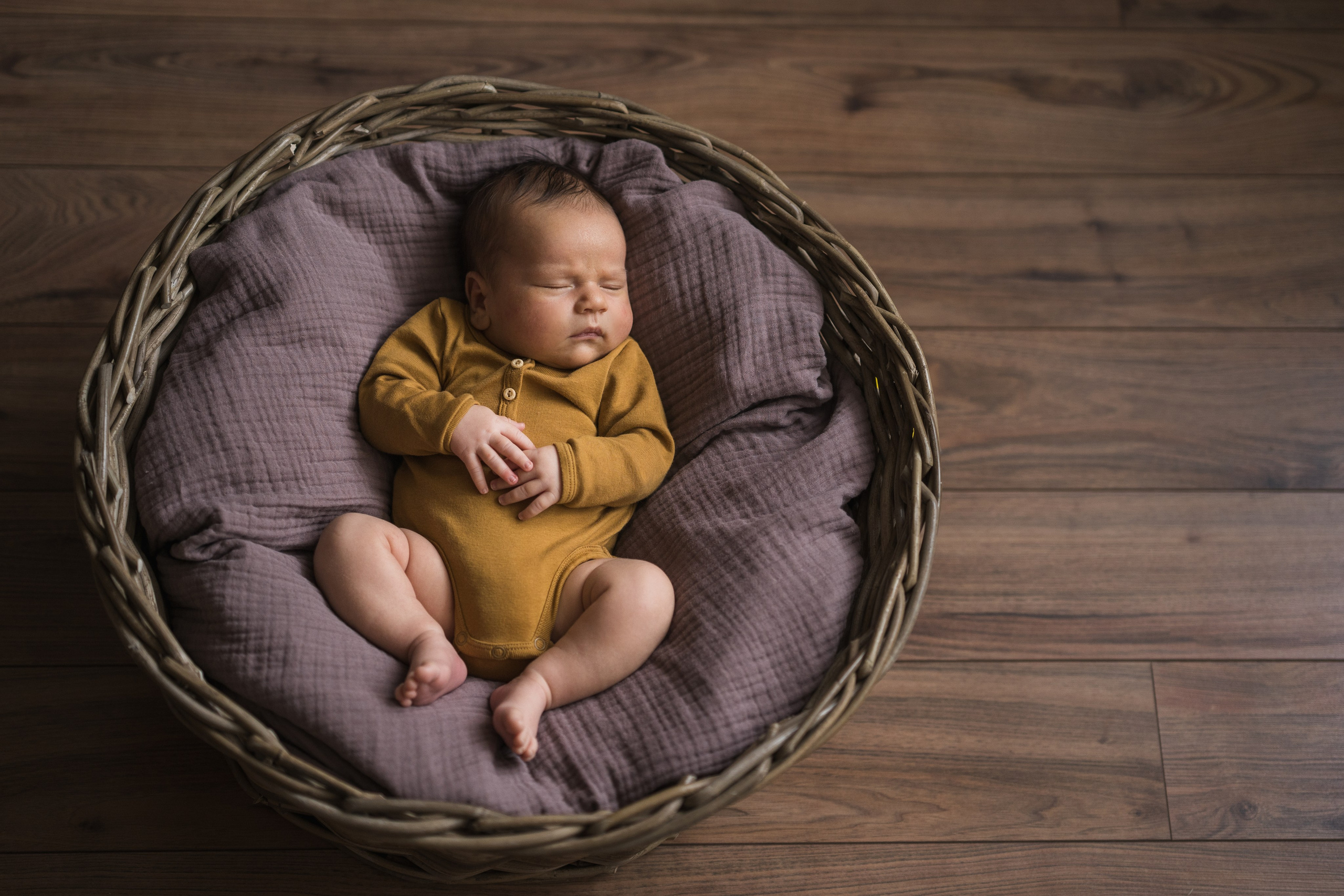Малыш в корзине. Семейный и детский фотограф Москва Дарья Бугра