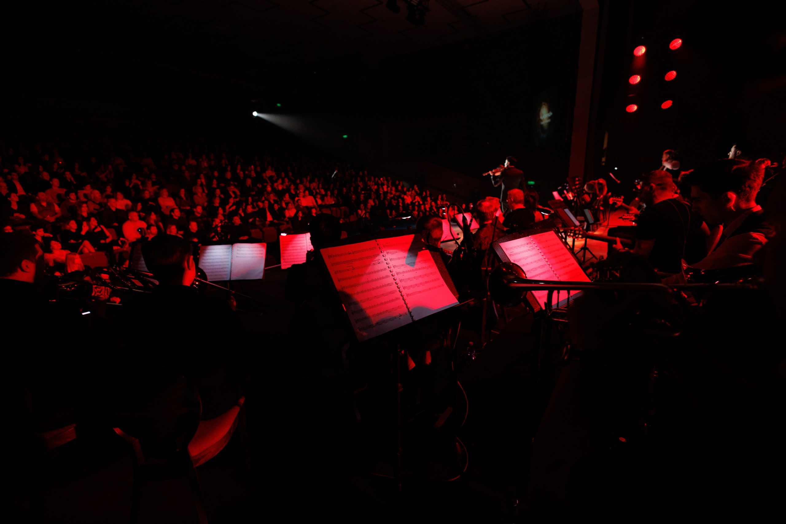 Сольный концерт Эдгара Акобяна. Студийный и свадебный фотограф в Москве Айк Саркисян