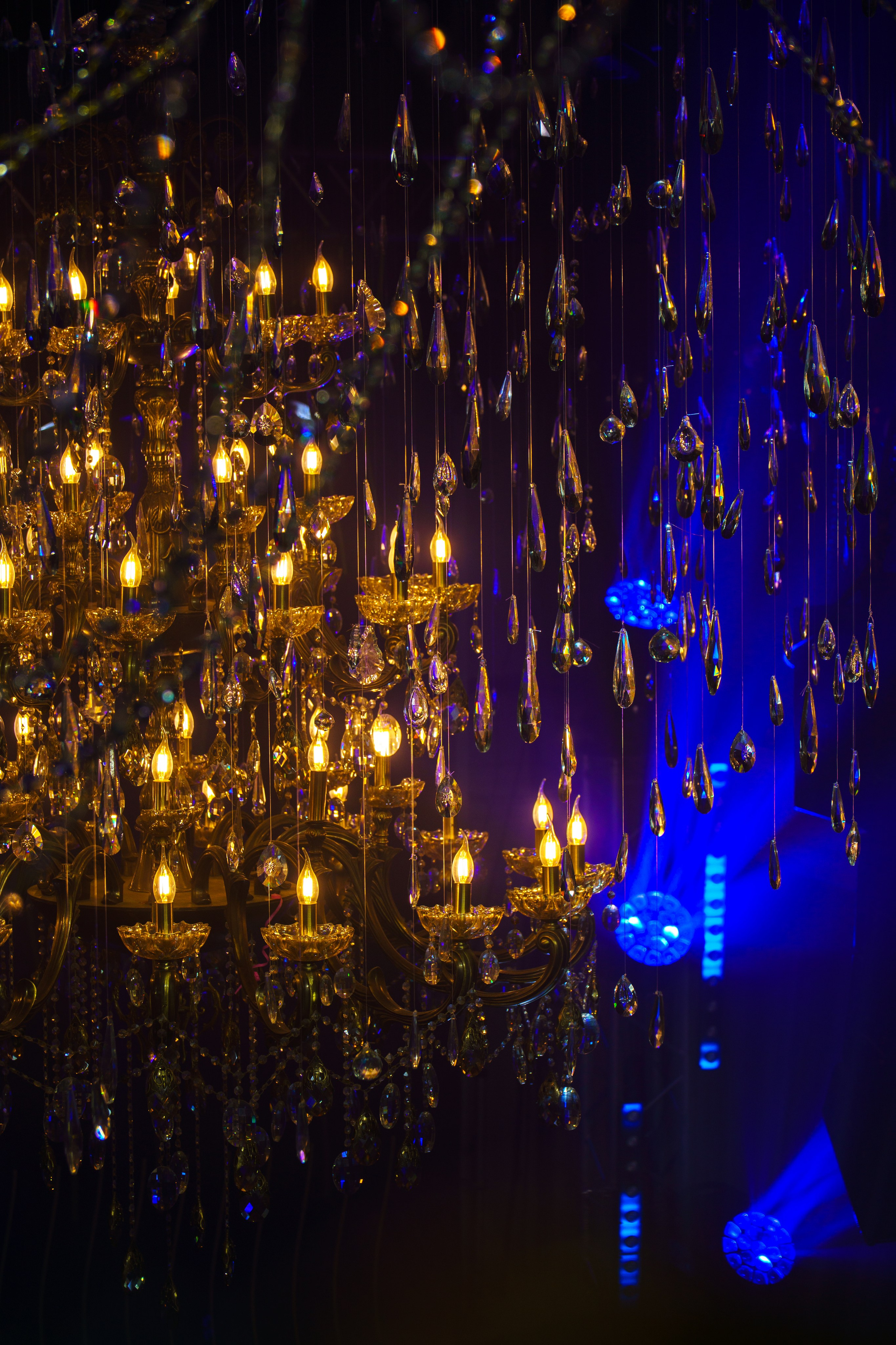 Модус 2024. Фото и видео съёмка в Москве и МО Александр Чапала и Трояк Алеся